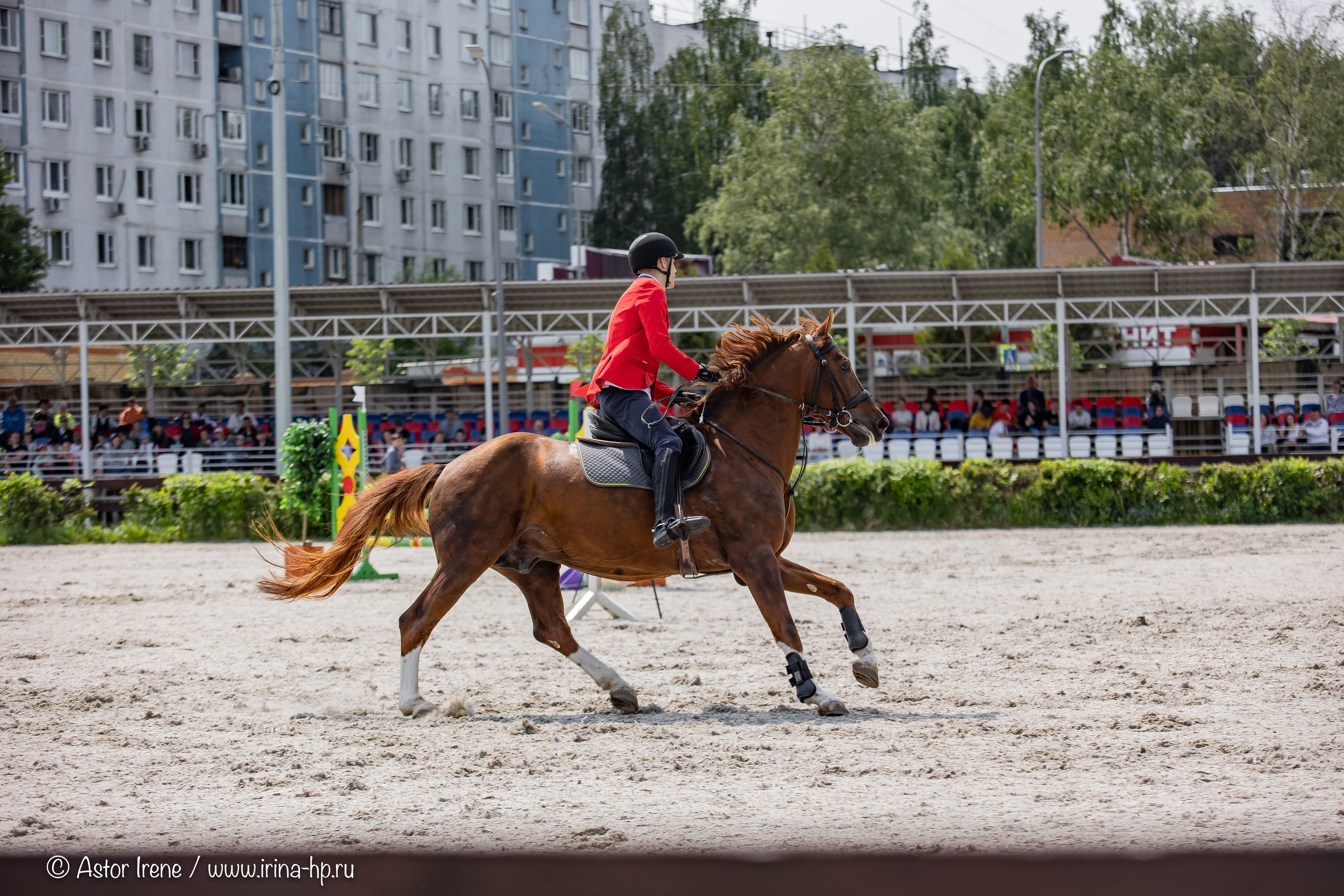 Соревнования по современному пятиборью «Кубок Павла Леднёва» (мужчины). Фотограф Ирина Астор