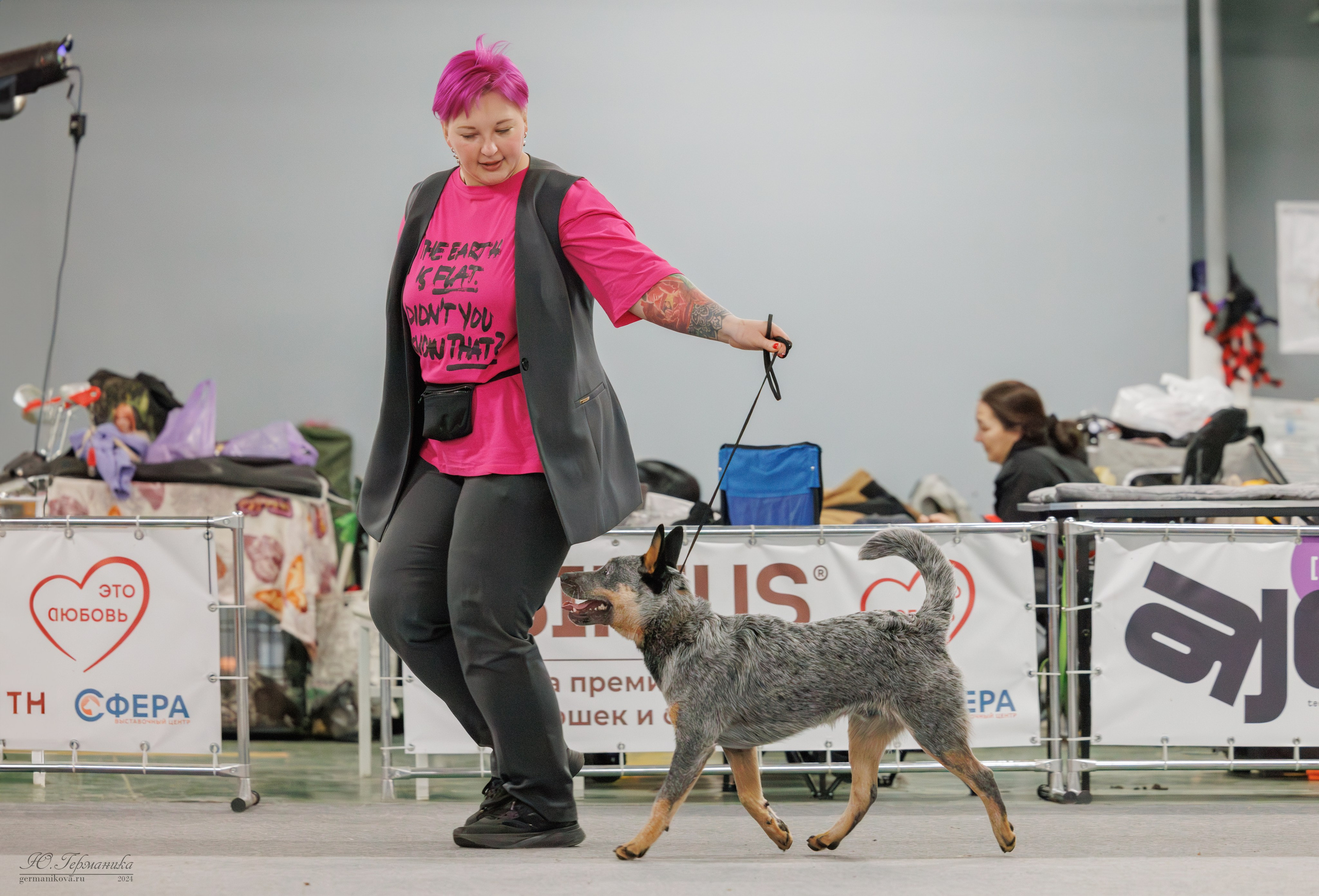 Сфера и Крокус 8,9,16 и 30.03.2025. Фотограф-анималист Юлия Германика