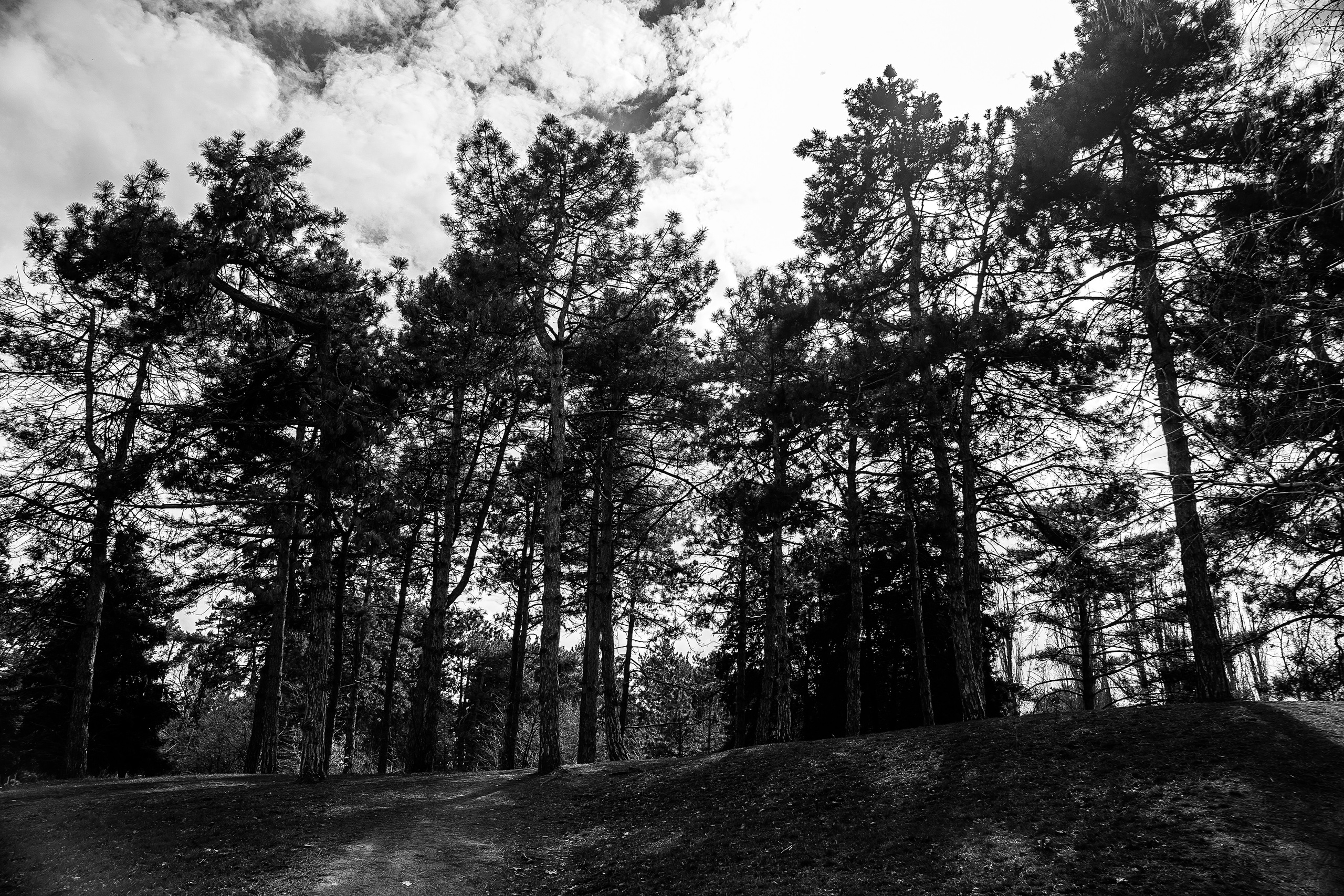 Ч/Б. Свадебный и семейный фотограф/видеограф в Краснодаре Наталья Осинская