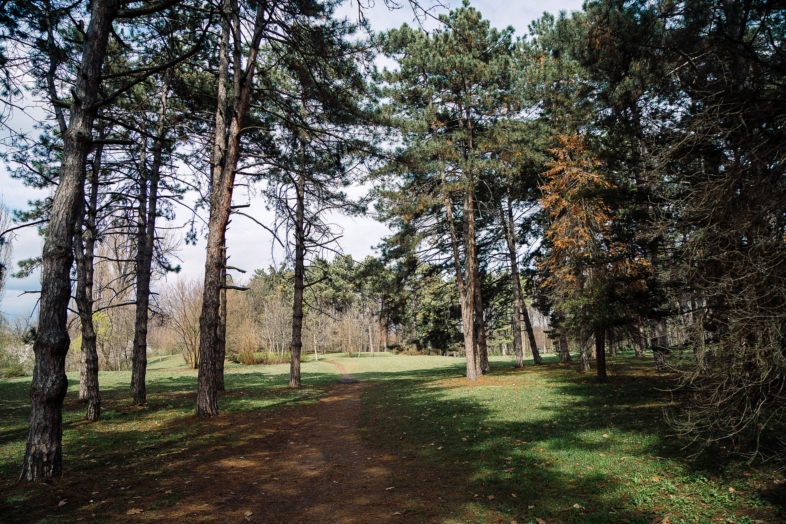 Зелень. Свадебный и семейный фотограф/видеограф в Краснодаре Наталья Осинская