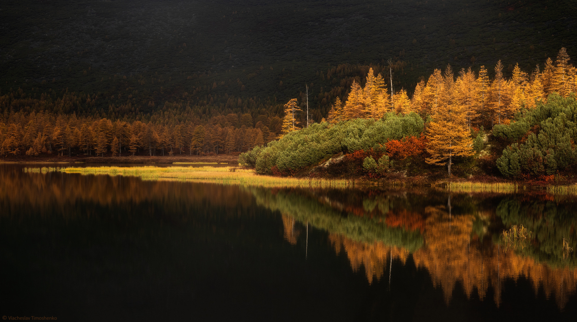 Фотограф из Москвы. Предметный фотограф в Москве Вячеслав Тимошенко