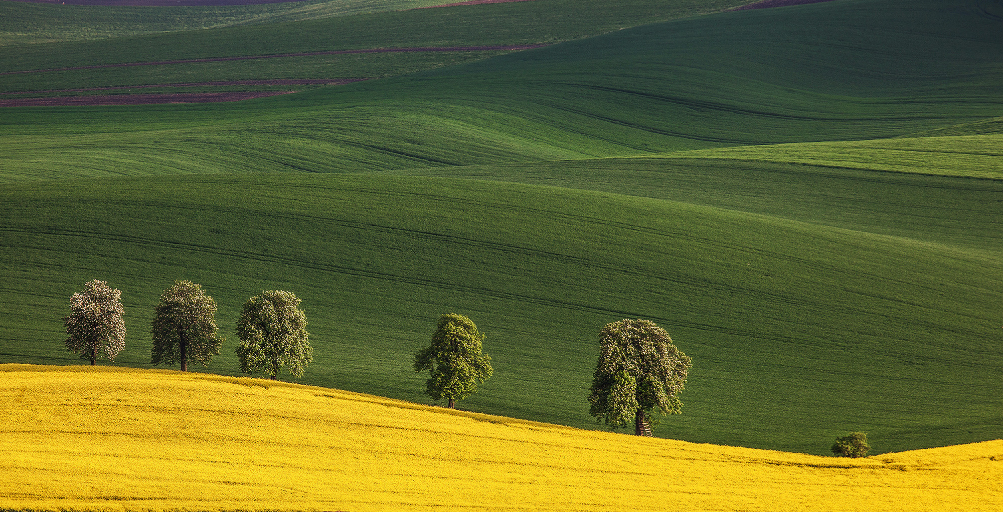 Чехия. Южная Моравия