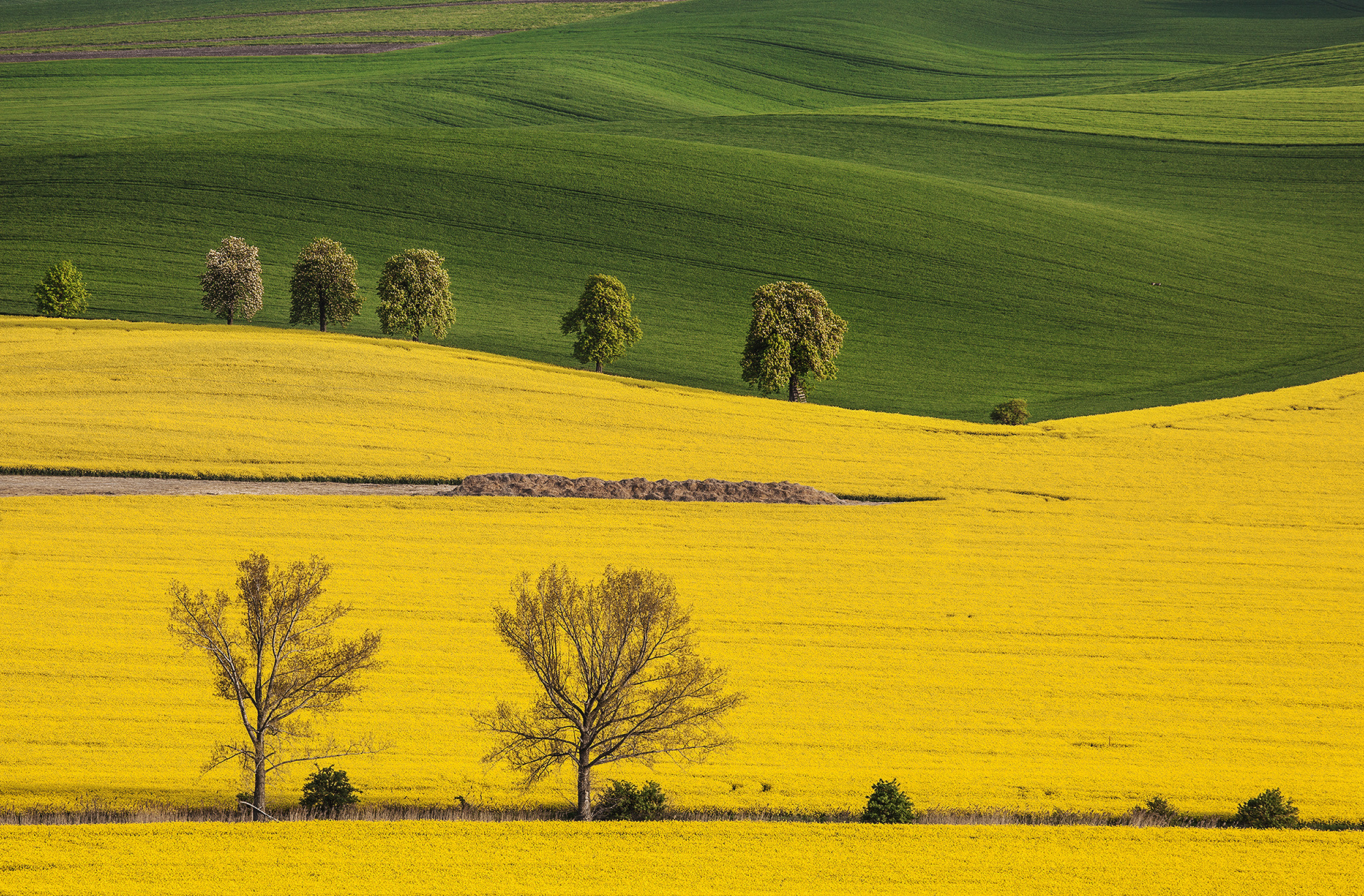 Чехия. Южная Моравия