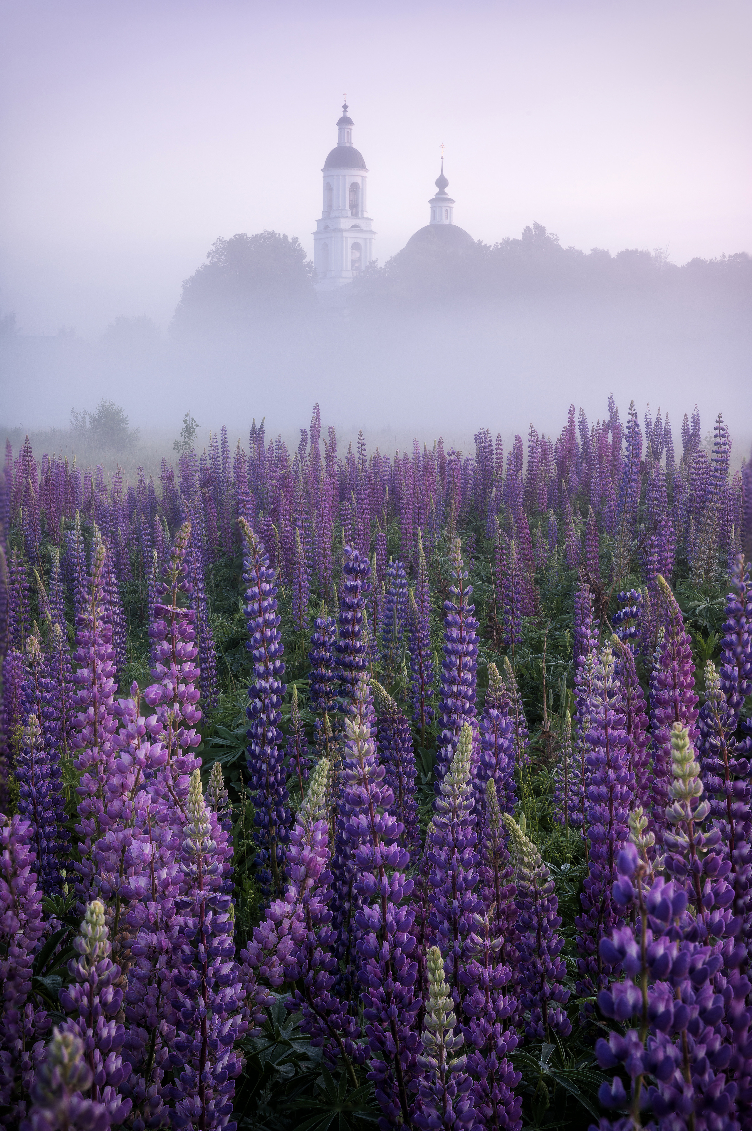 Село Филипповское в начале июня