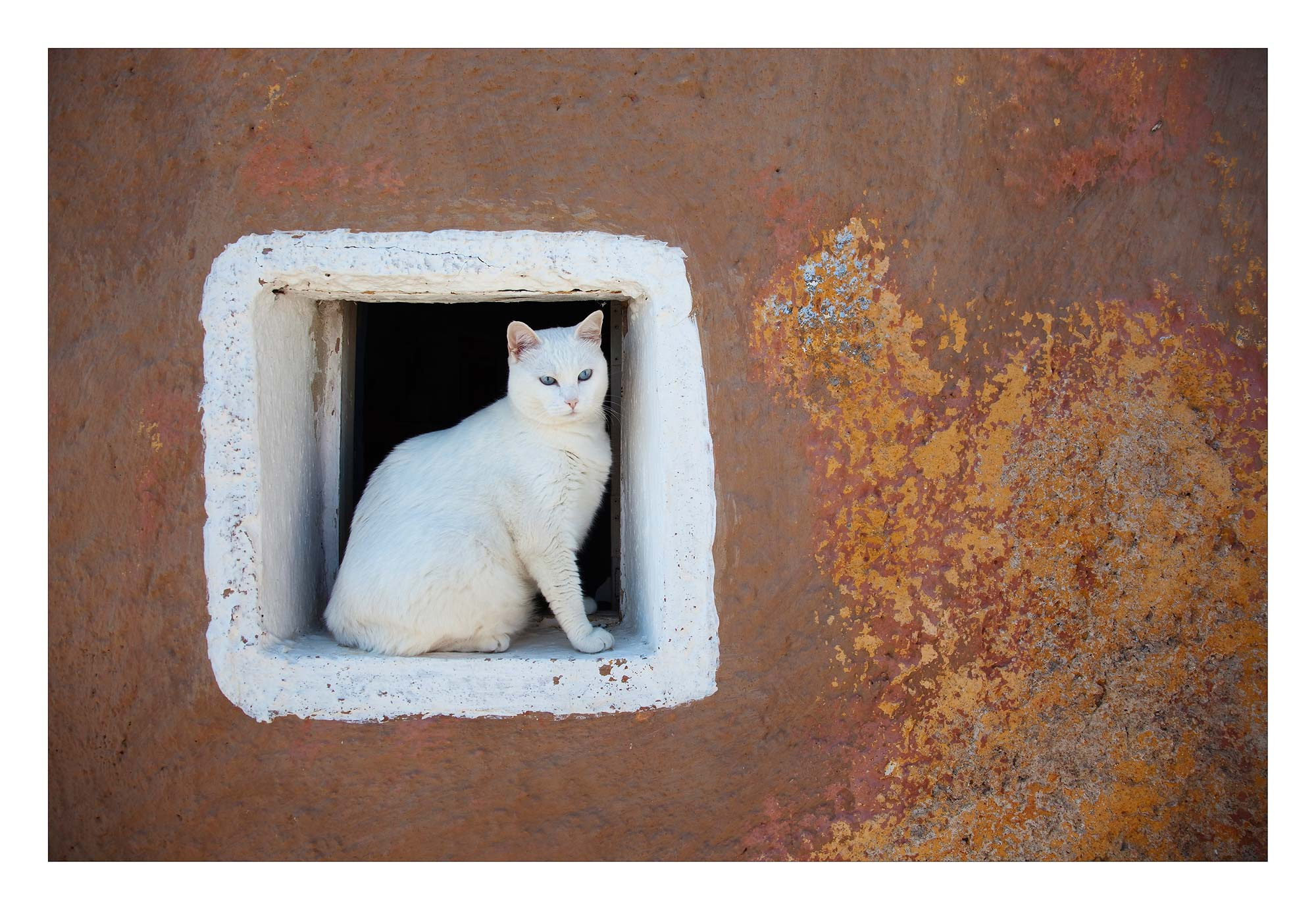 Пейзажи. Предметный фотограф в Москве Вячеслав Тимошенко