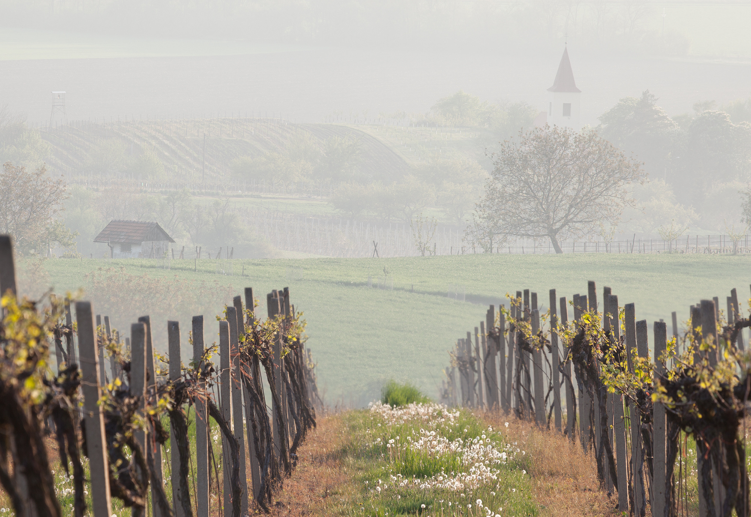 Чехия. Южная Моравия