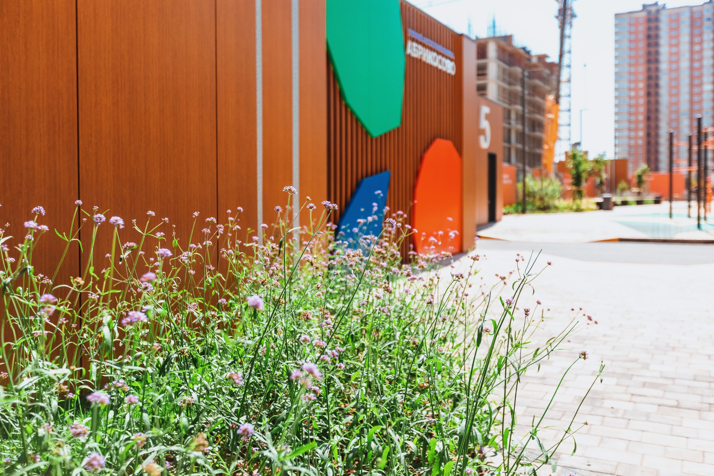 ЖК Абрикосово | Придомовая территория | ТОЧНО. Фотограф Марина Верятинская | Краснодар