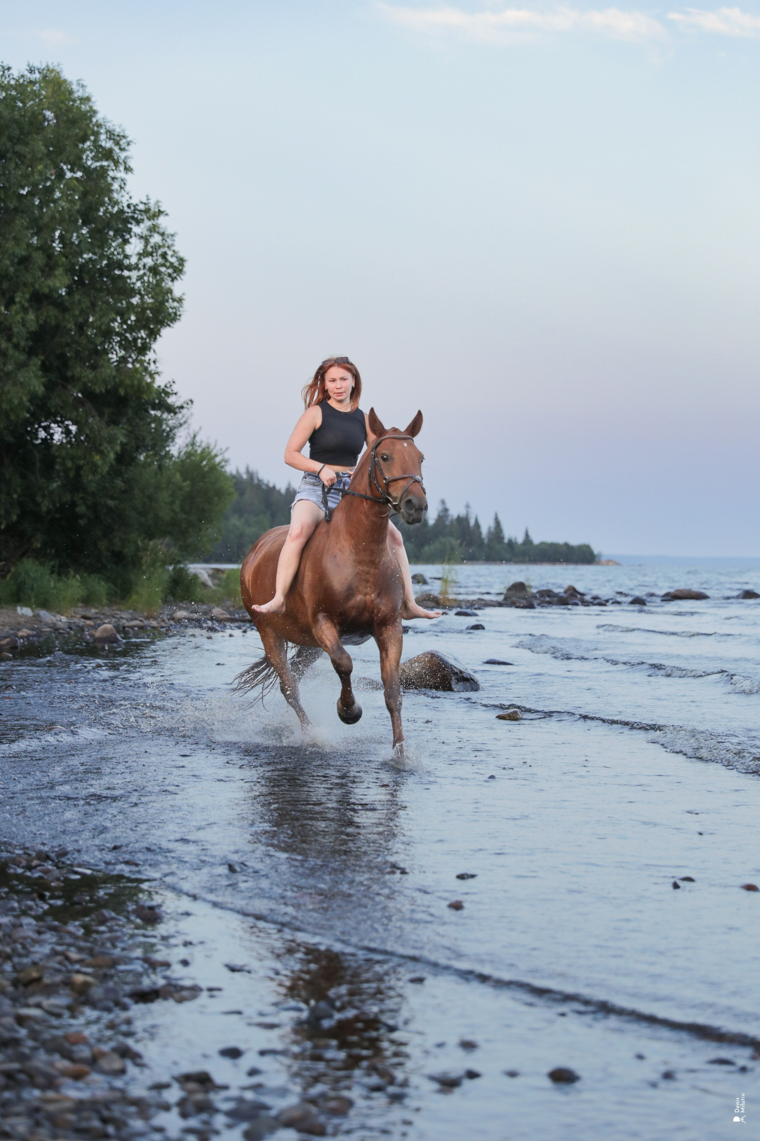 Фото с лошадьми. Портретный фотограф Денис Милютин
