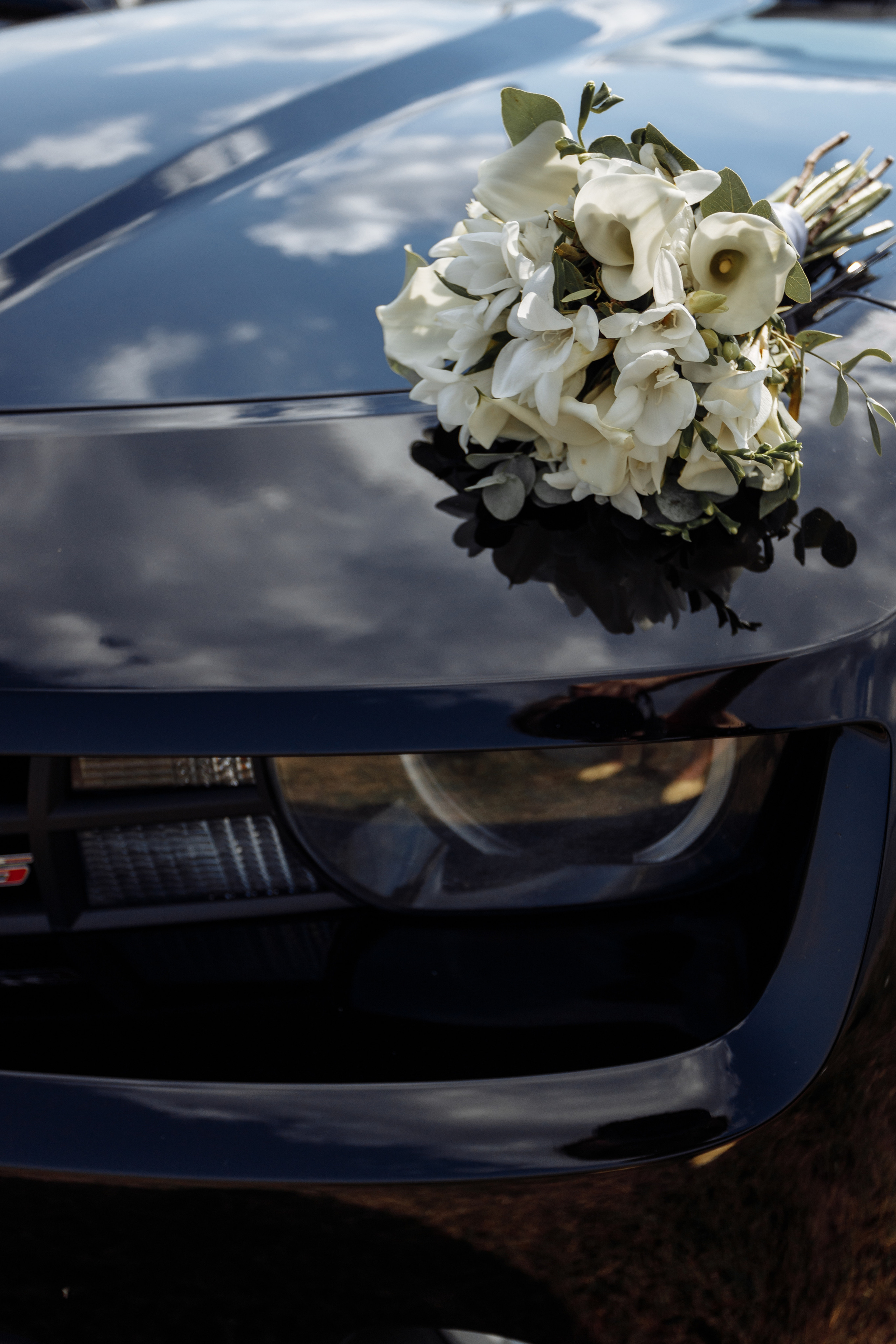 Вероника и Алексей. Свадебный и семейный фотограф в Ульяновске Орешина Елена