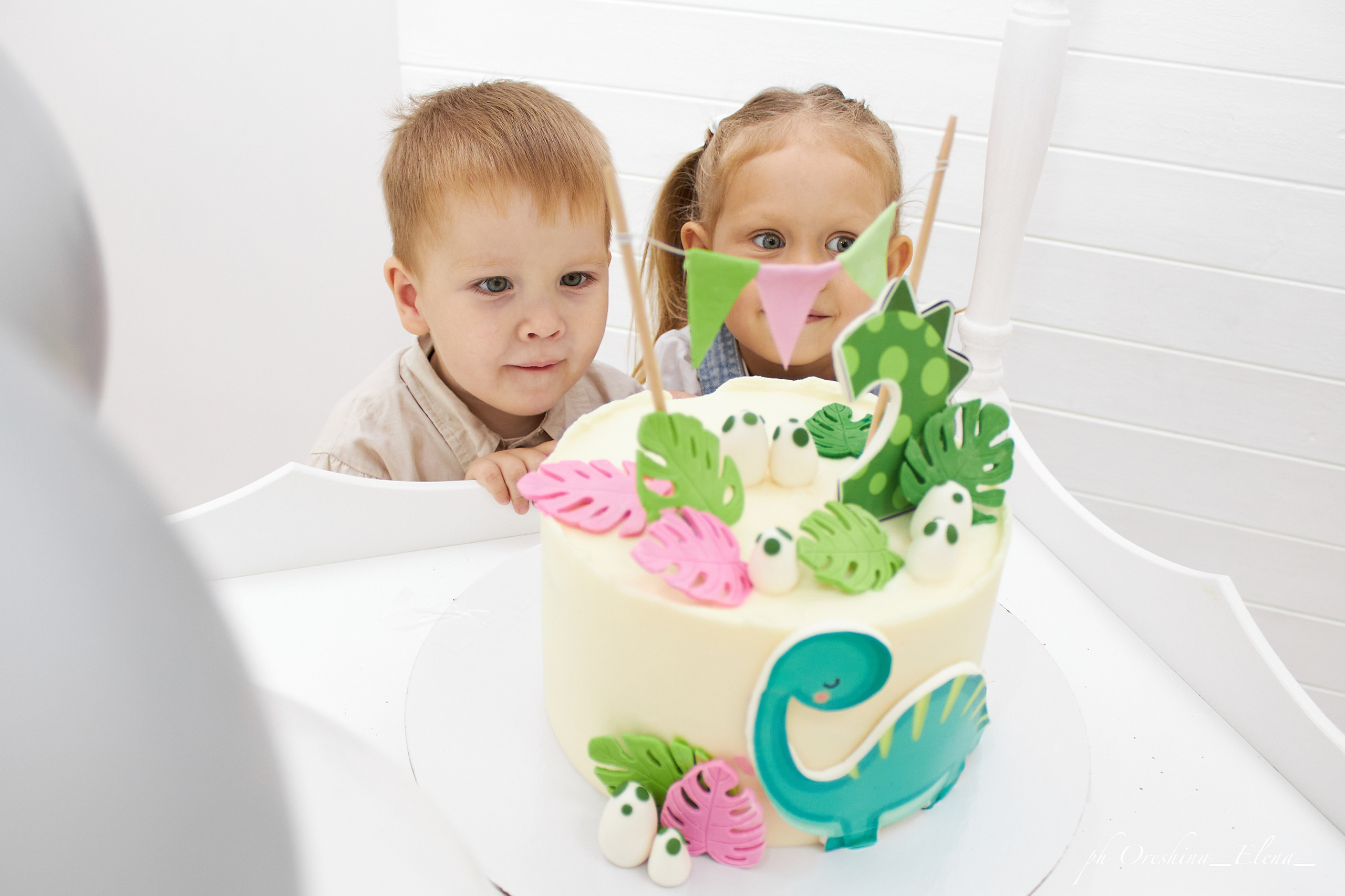 День рождение Мирона. Свадебный и семейный фотограф в Ульяновске Орешина Елена