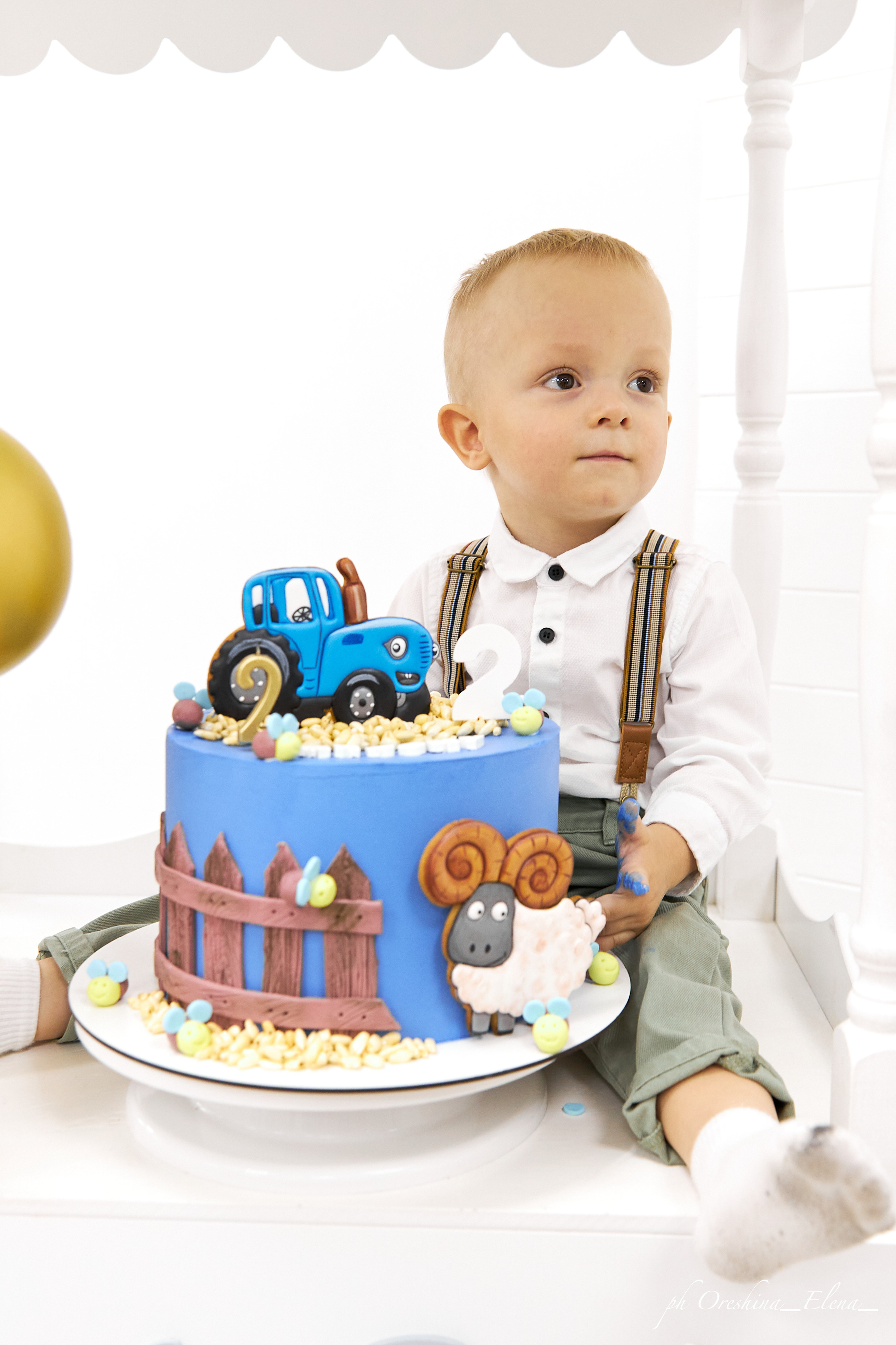 День рождение Мирона. Свадебный и семейный фотограф в Ульяновске Орешина Елена