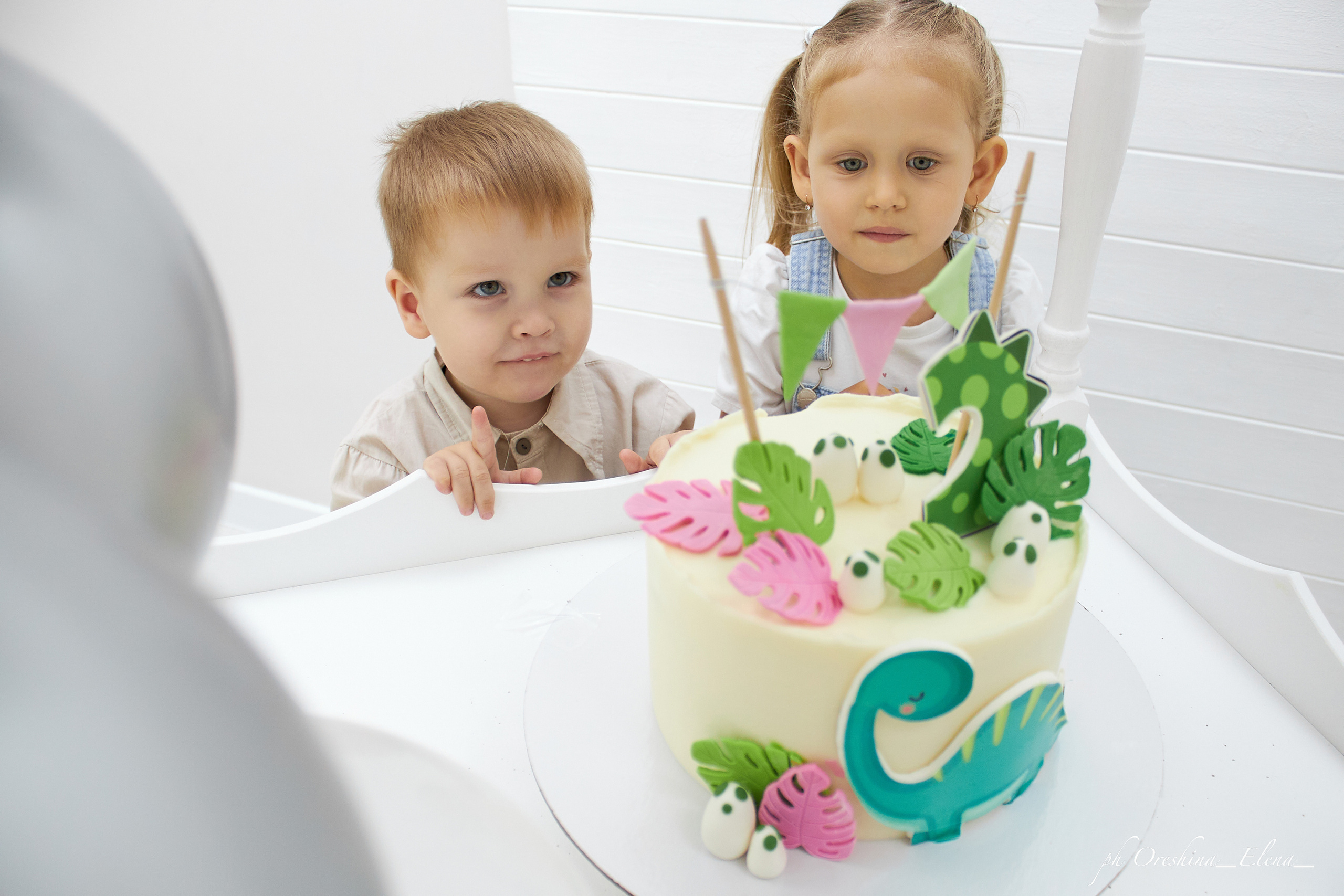 День рождение Мирона. Свадебный и семейный фотограф в Ульяновске Орешина Елена