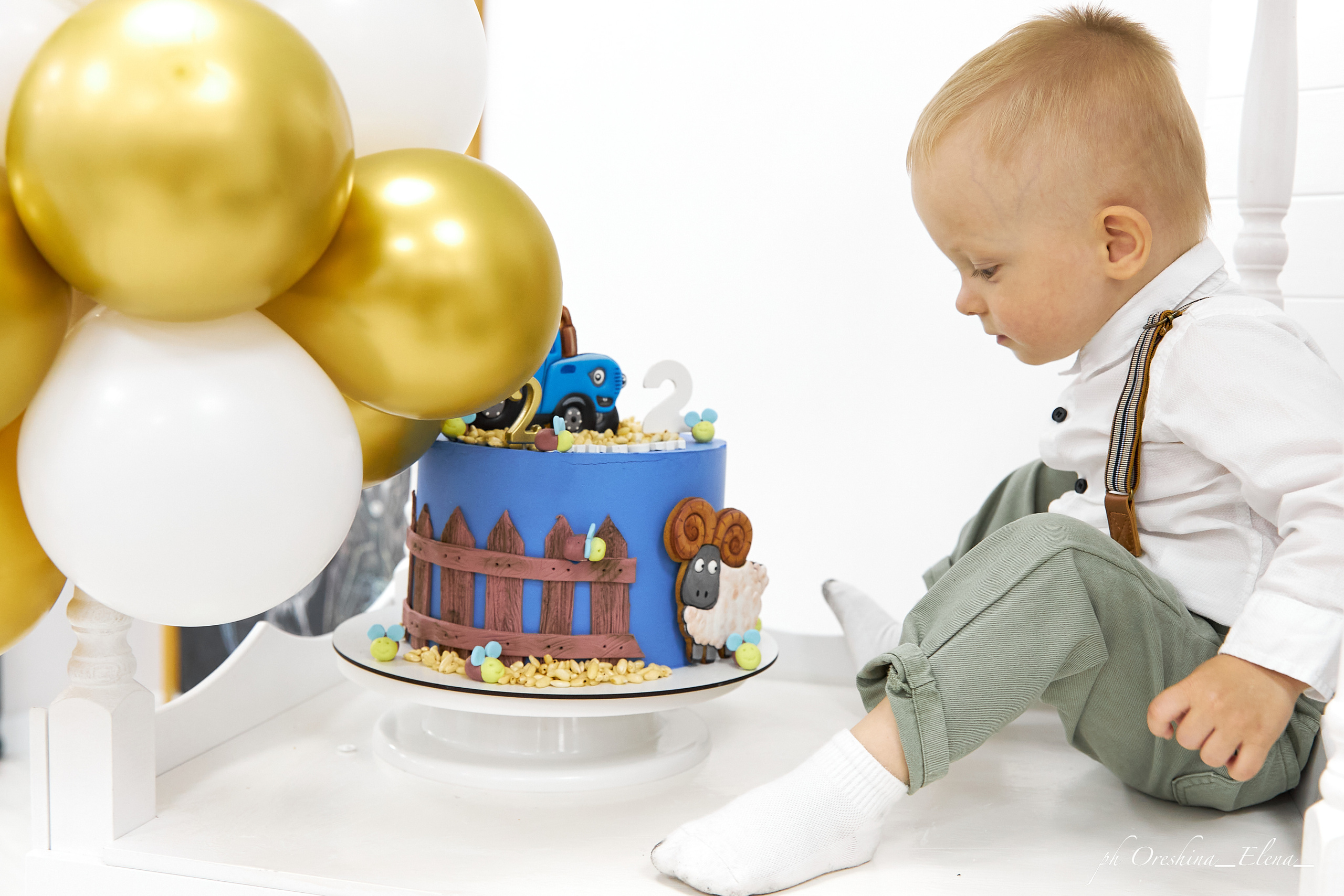 День рождение Мирона. Свадебный и семейный фотограф в Ульяновске Орешина Елена