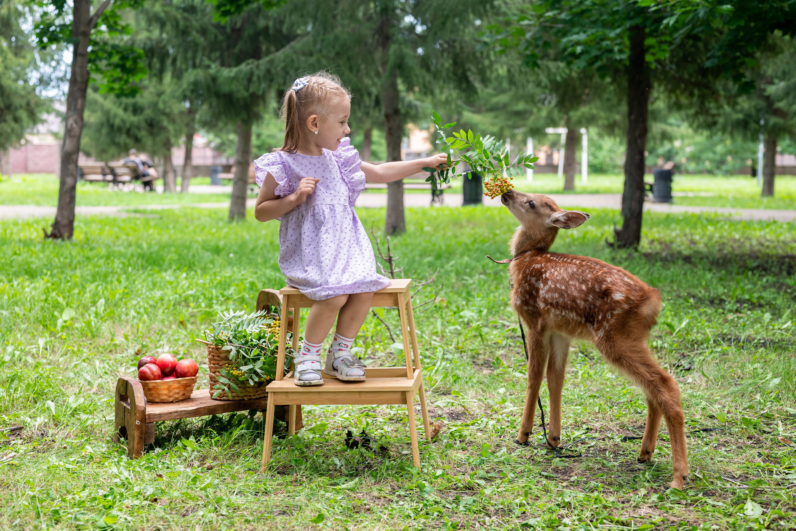 Фотопроект *Оленёнок Бэмби*. Фотограф в городе Салават