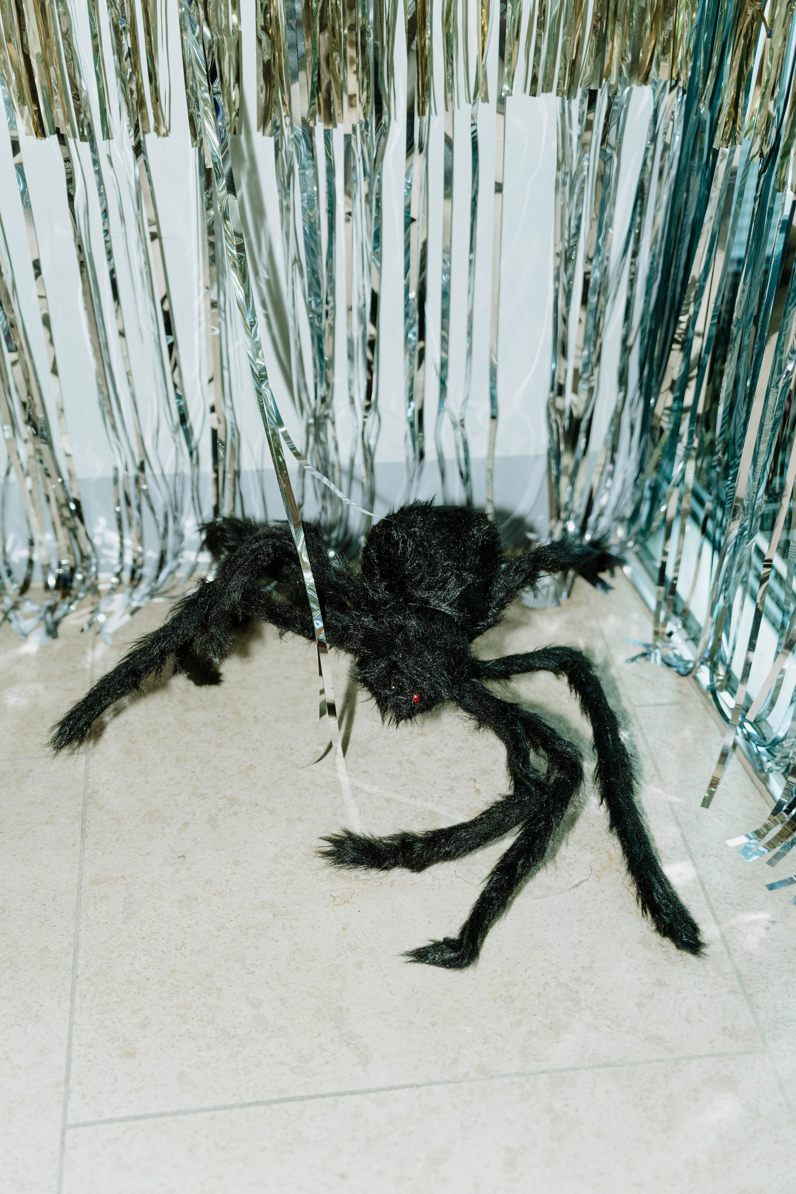 Wedding Photographer Switzerland Geneva Europe. Professional Wedding Photographer Geneva & Romande Switzerland | Tanya Creator