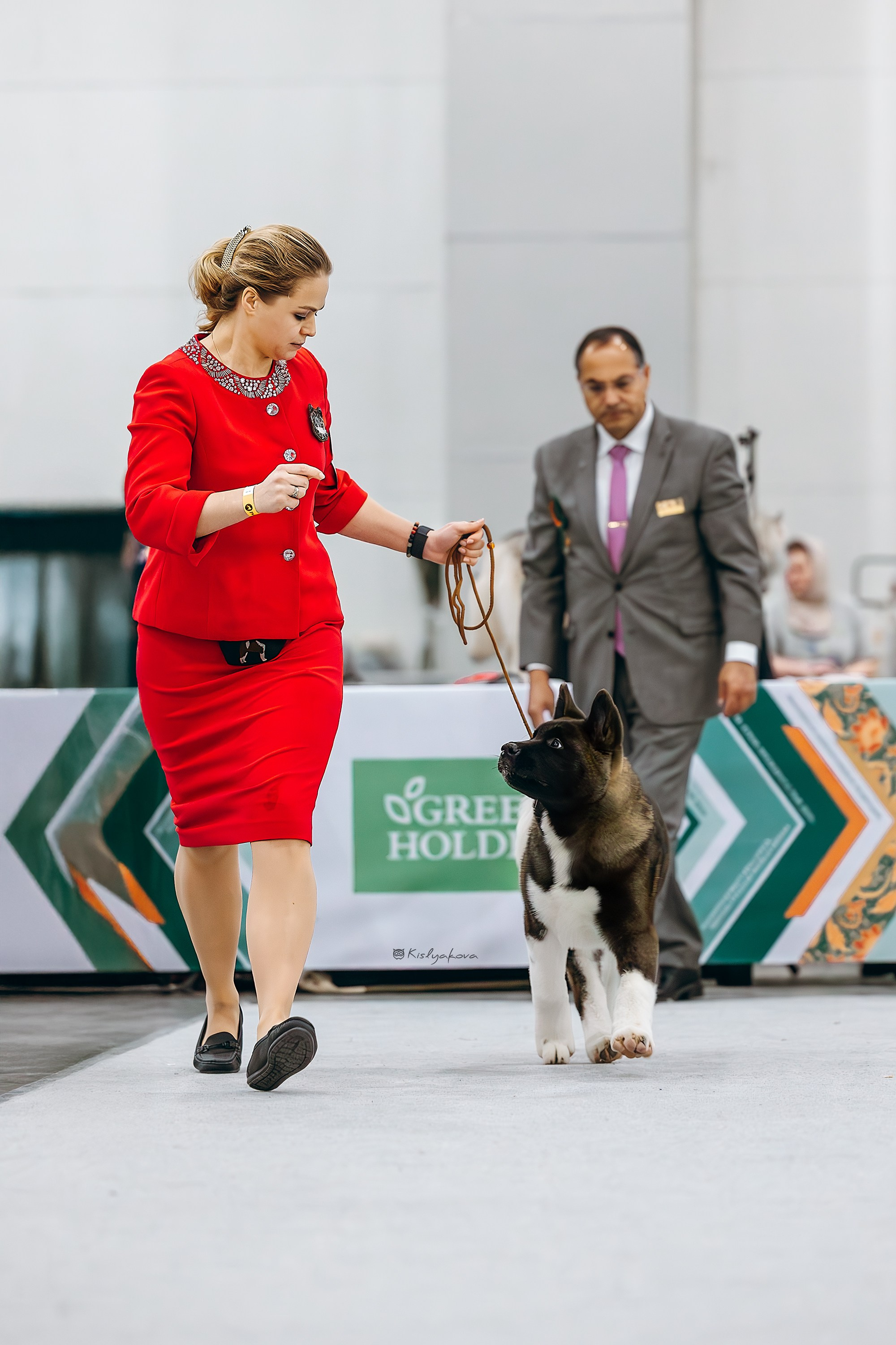 Выставочный репортаж. Фотограф. Фотограф-анималист. Москва