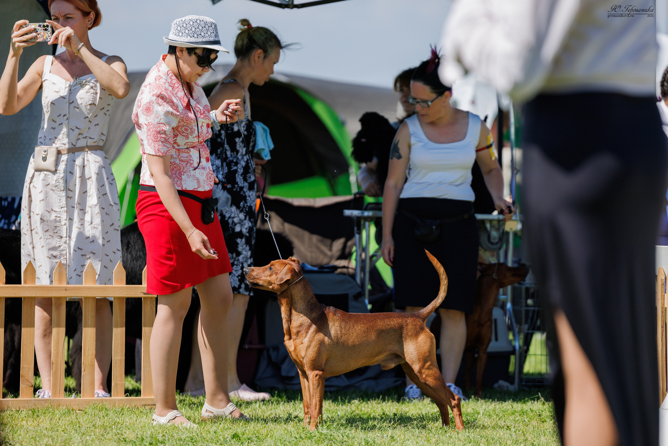Ереван 3-5.06.2024. Фотограф-анималист Юлия Германика