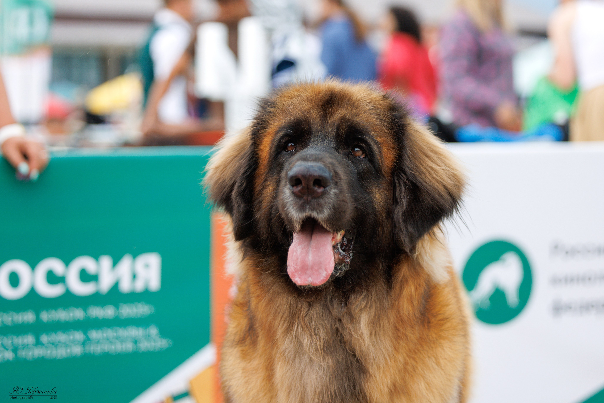 РОССИЯ 7-8.06.2025. Фотограф-анималист Юлия Германика
