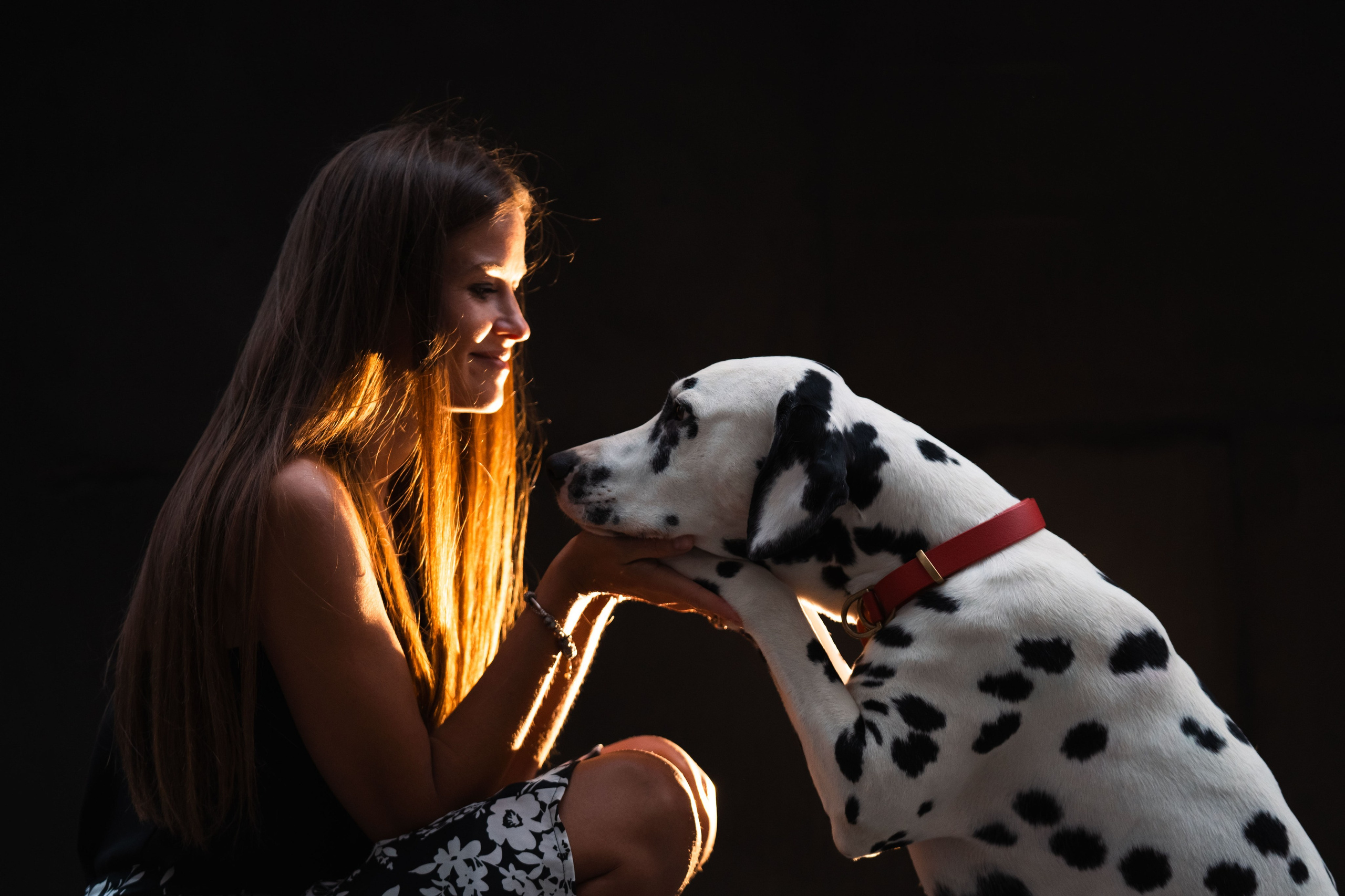 Отзывы. Фотограф анималист