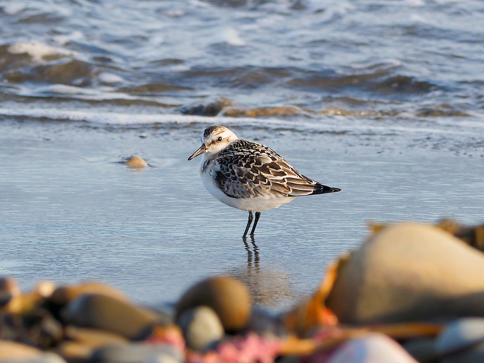 Полуостров Рыбачий. Московский фотограф Дмитрий Потапов
