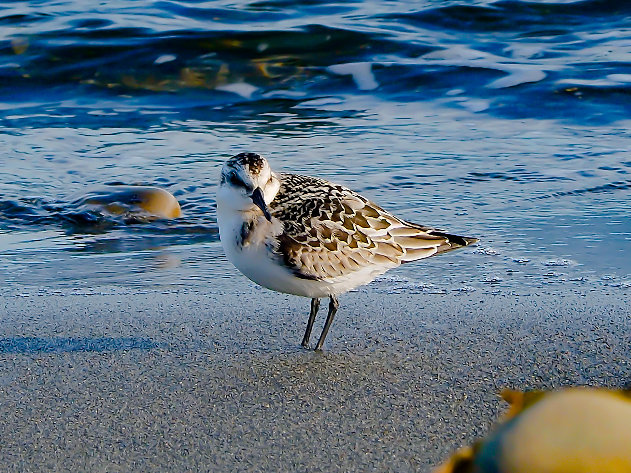 Полуостров Рыбачий. Московский фотограф Дмитрий Потапов