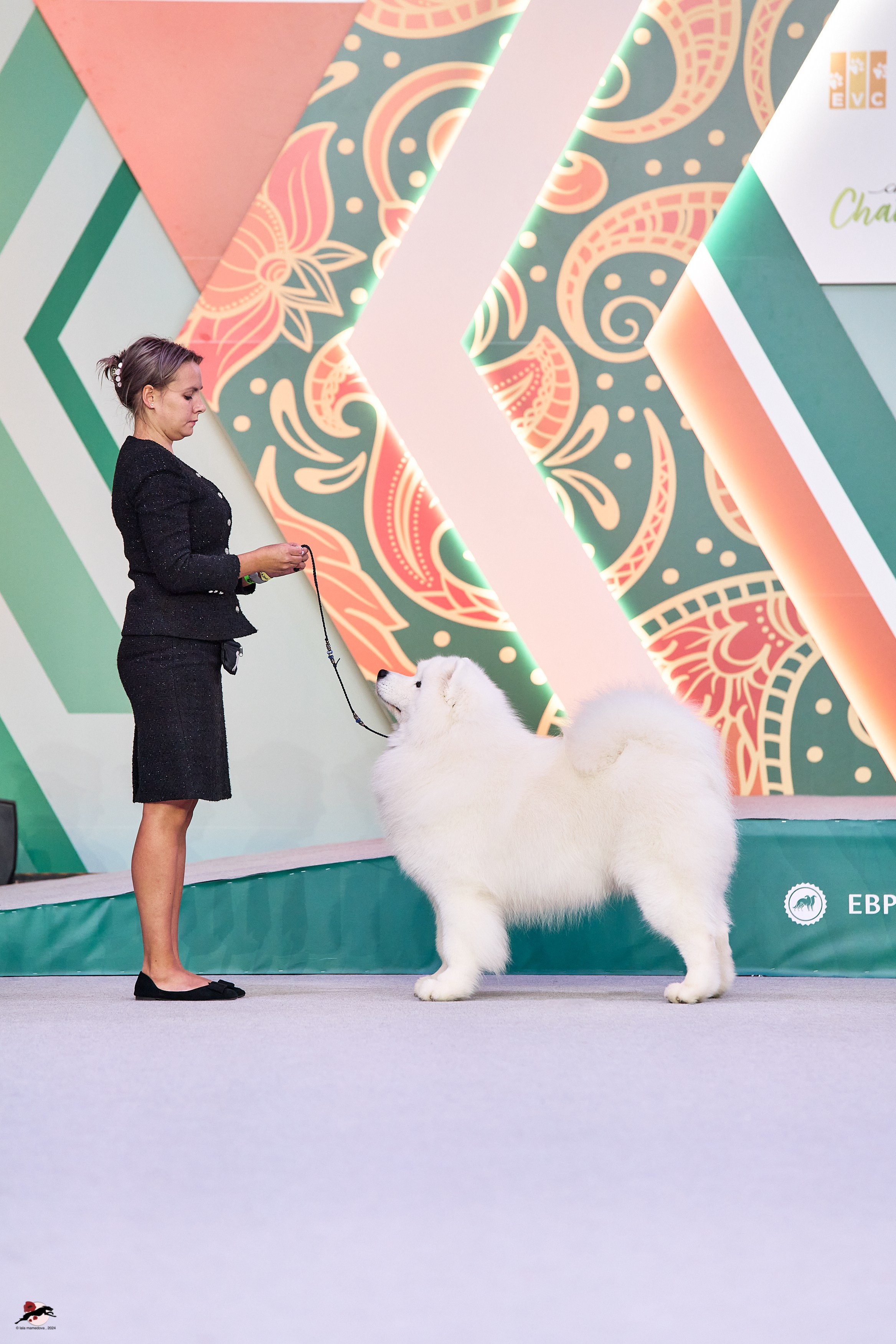 17.11.2024 «ЕВРАЗИЯ. КУБОК СНГ 2024»