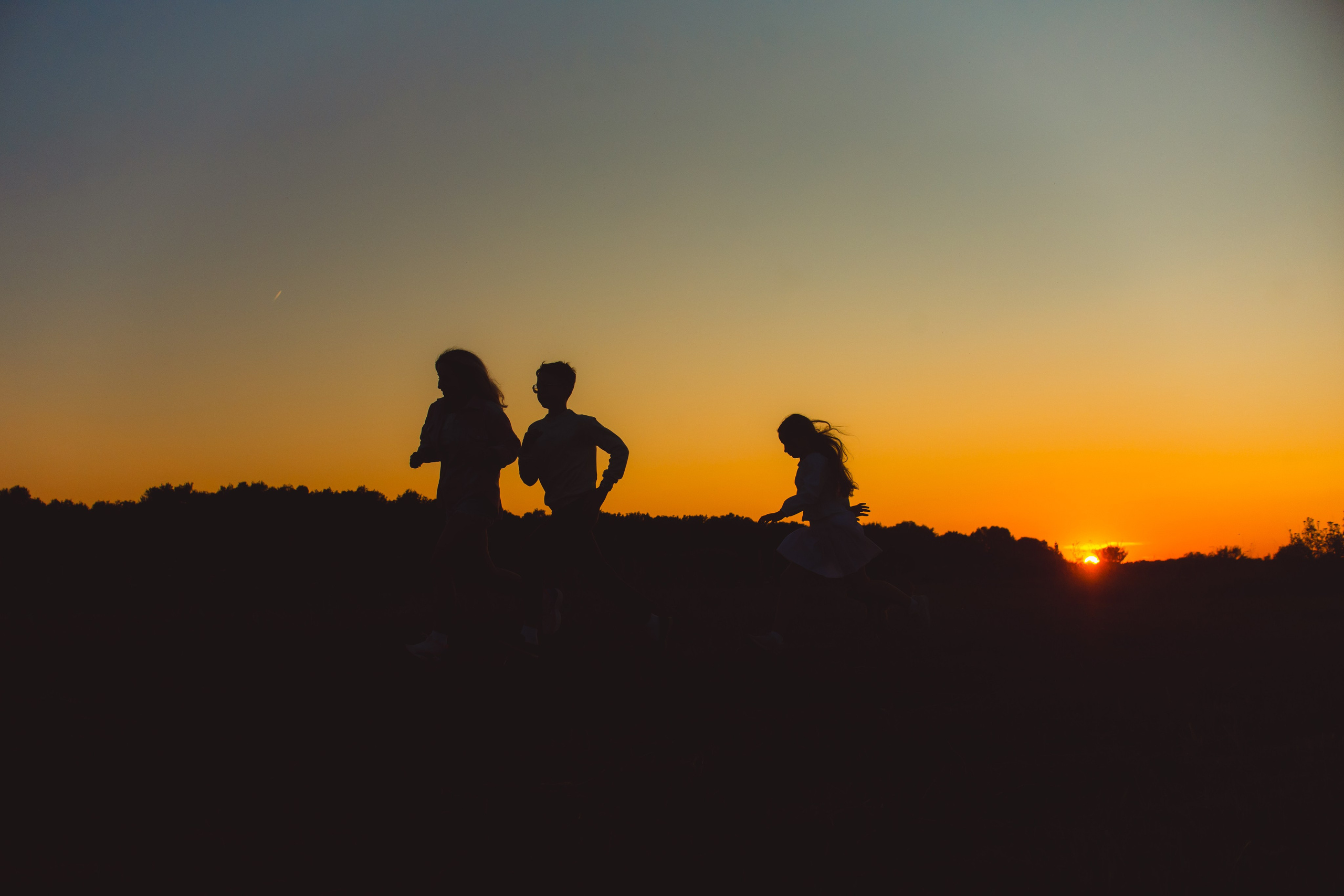 Наташа, Агата, Назар и Август — 17.07.2025. Фотограф — Анималист | Анна Абрамова