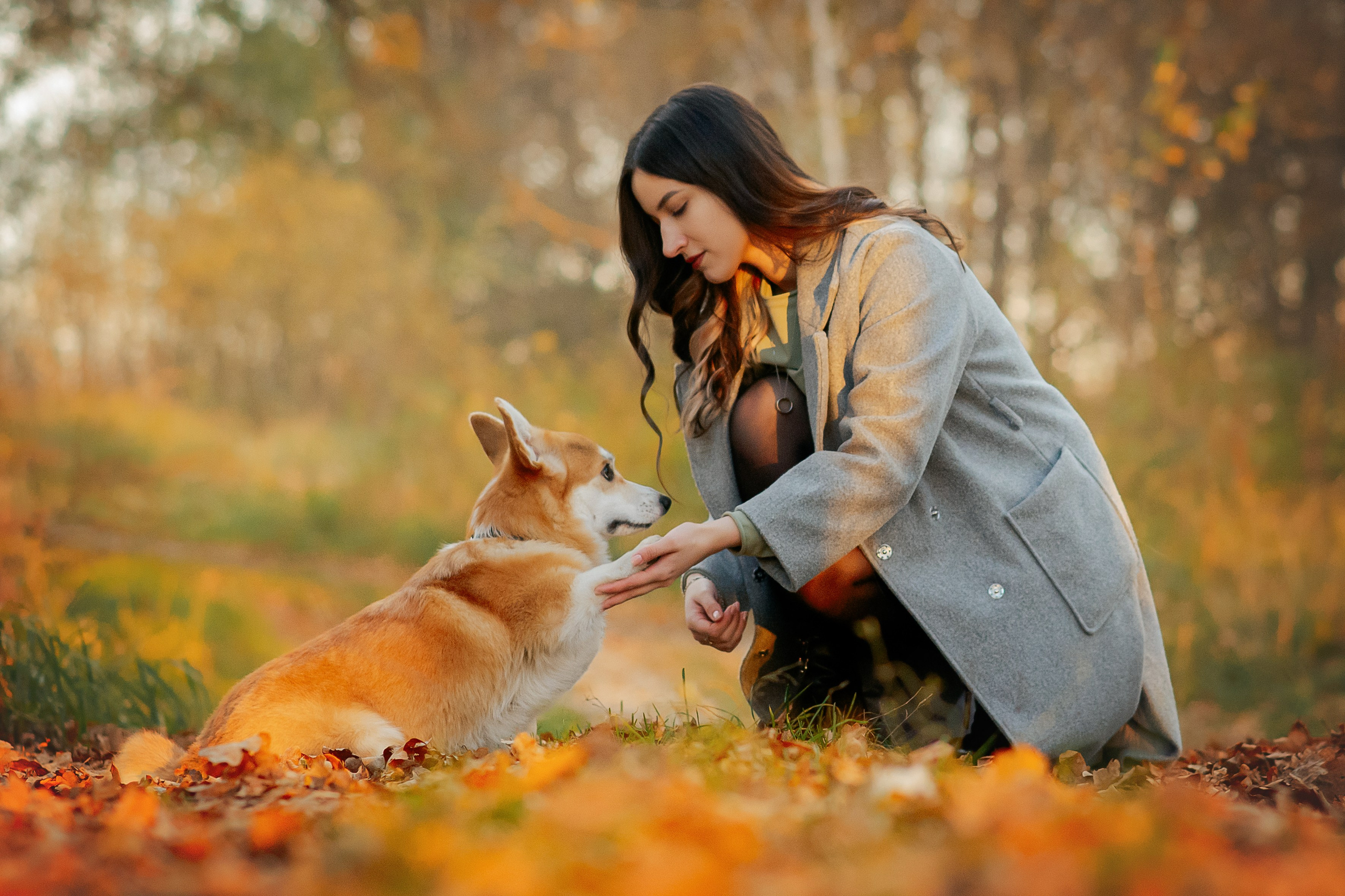 Максим, Надя, Рой и Шелби — 13.10.2024. Фотограф — Анималист | Анна Абрамова
