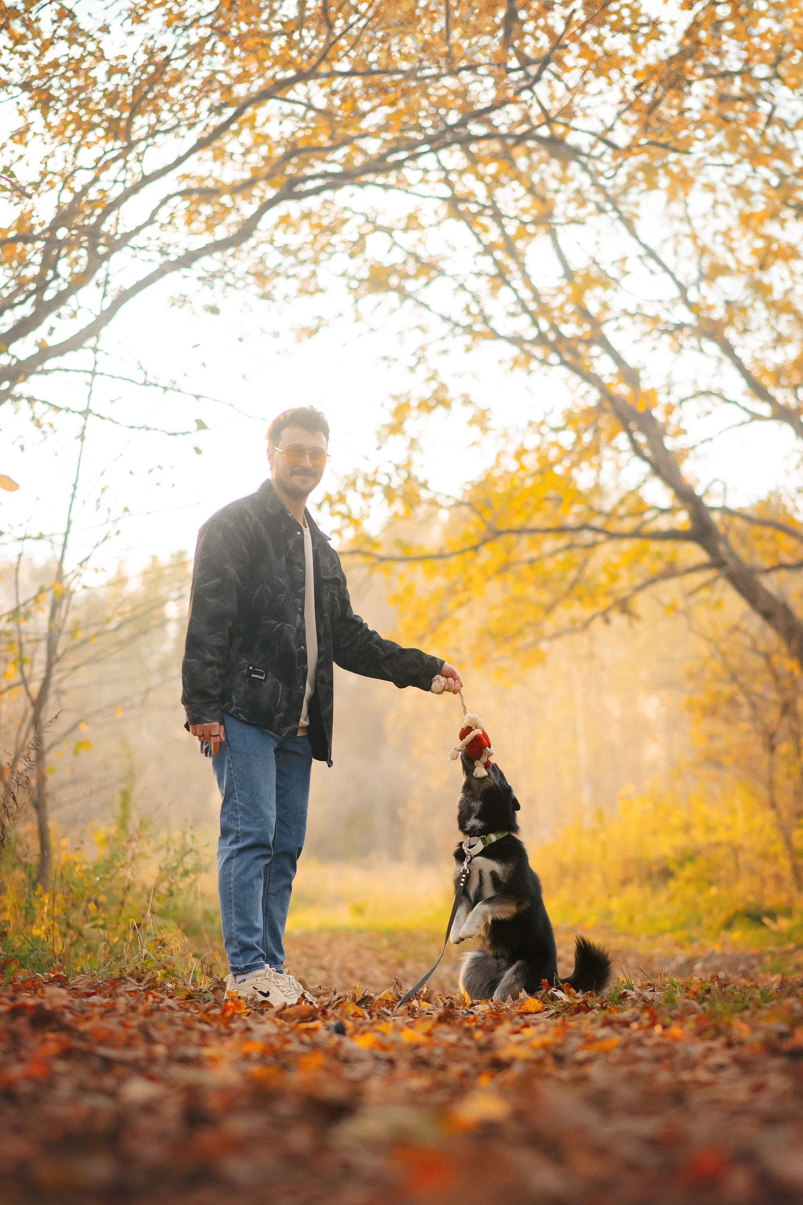 Максим, Надя, Рой и Шелби — 13.10.2024. Фотограф — Анималист | Анна Абрамова