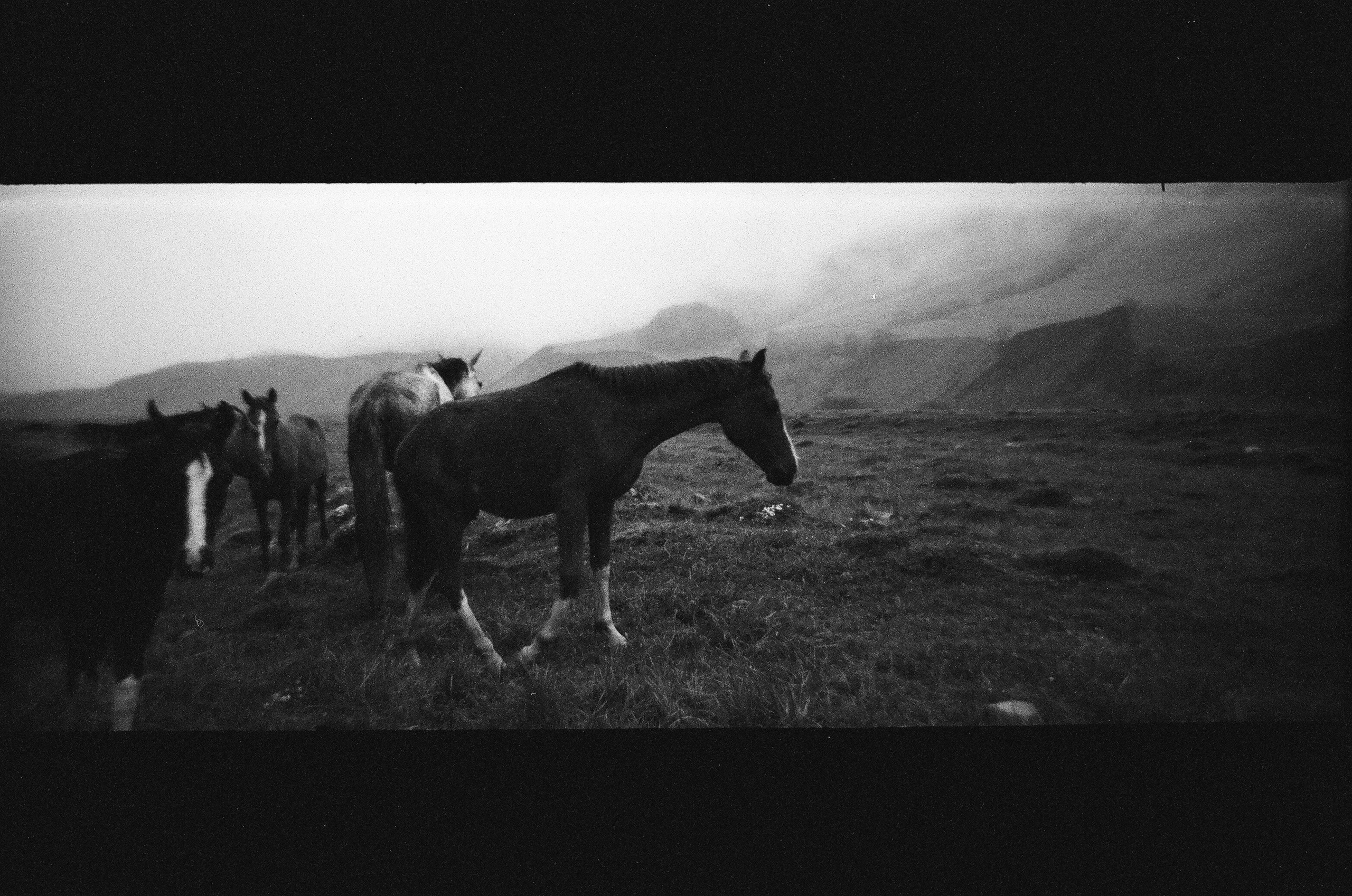 EXHIBITION. Репортажный и интерьерный фотограф, фотохудожник