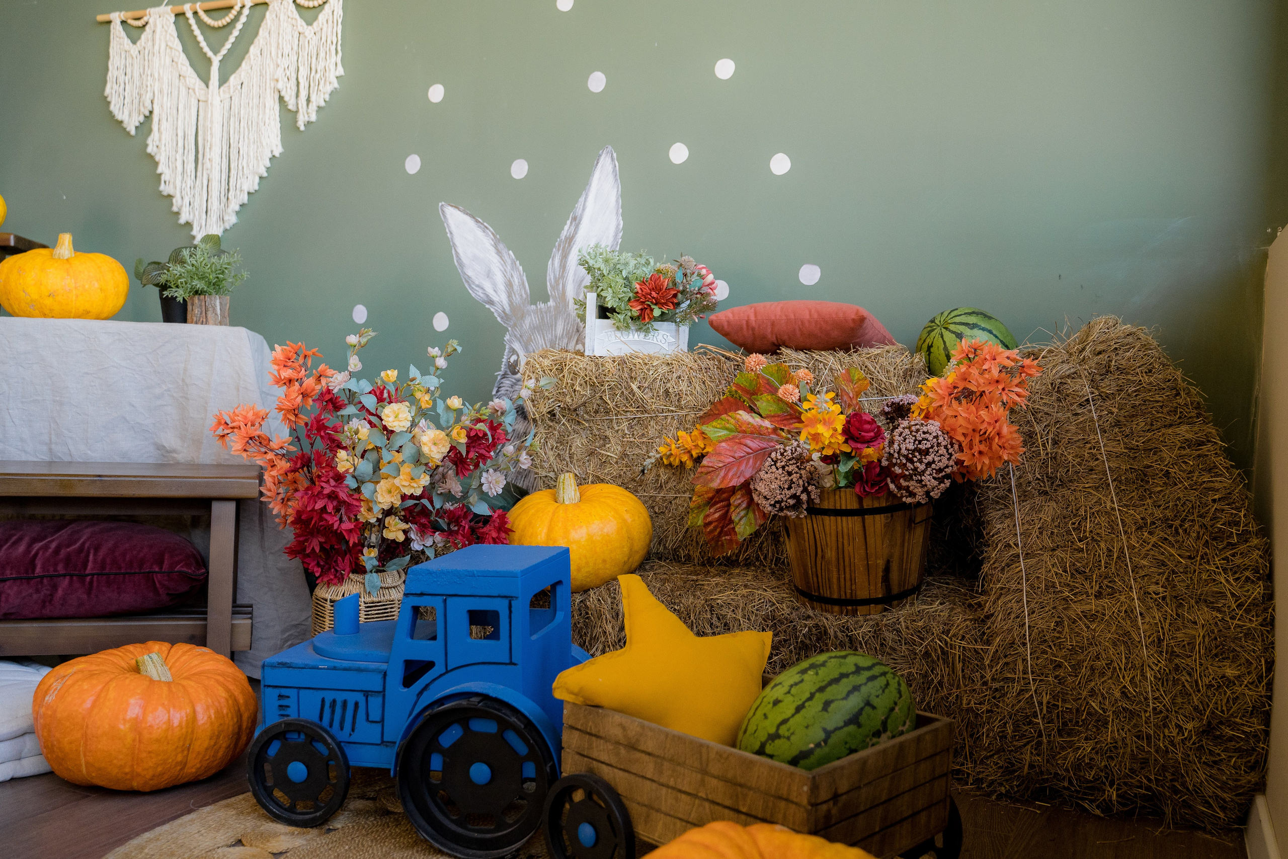 Фотостудия. Фотостудия Малина в городе Улан-Удэ. Фотограф Ирина Жарникова