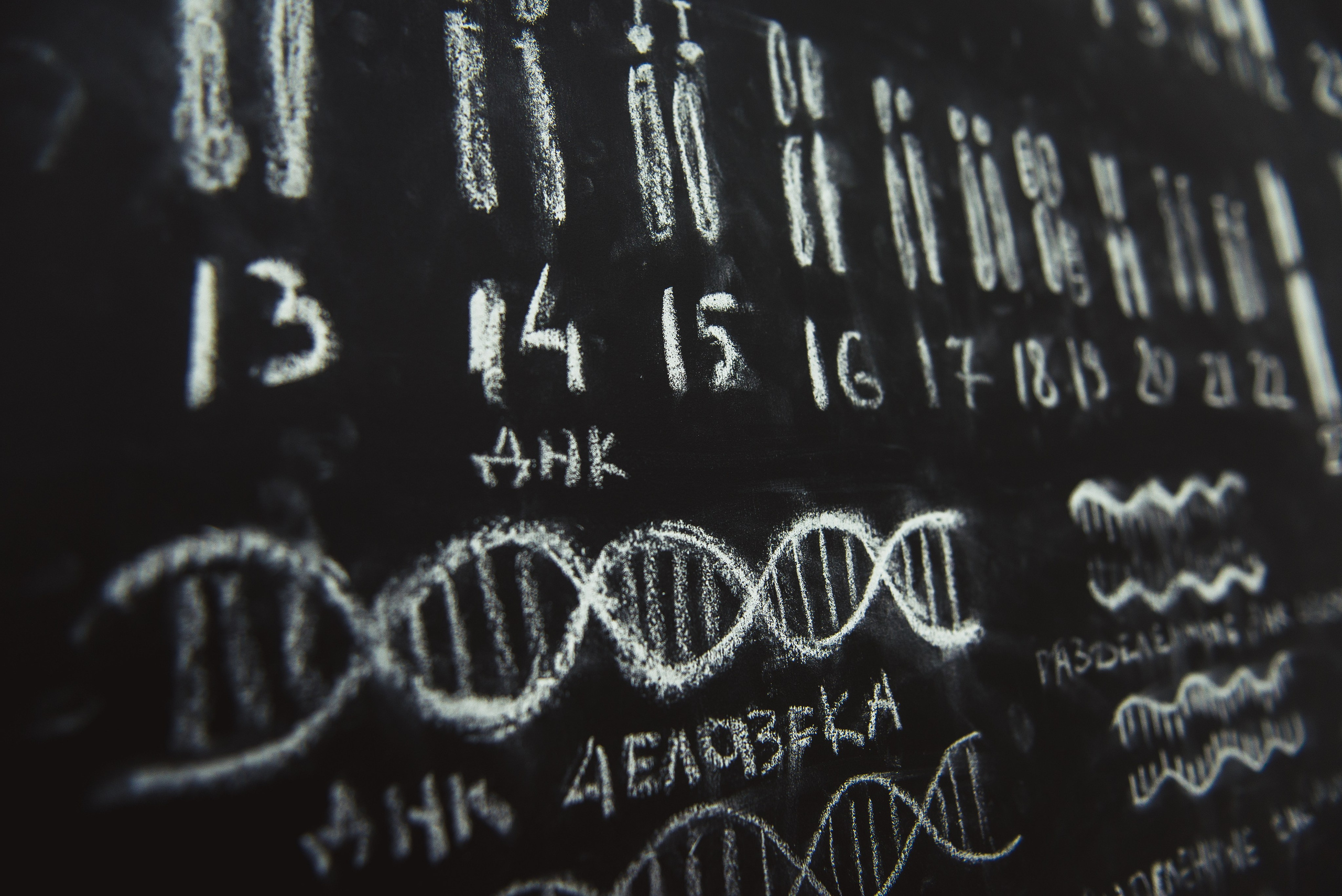 Интерьер. Продакшн в Казани. Видео и фото для бизнеса