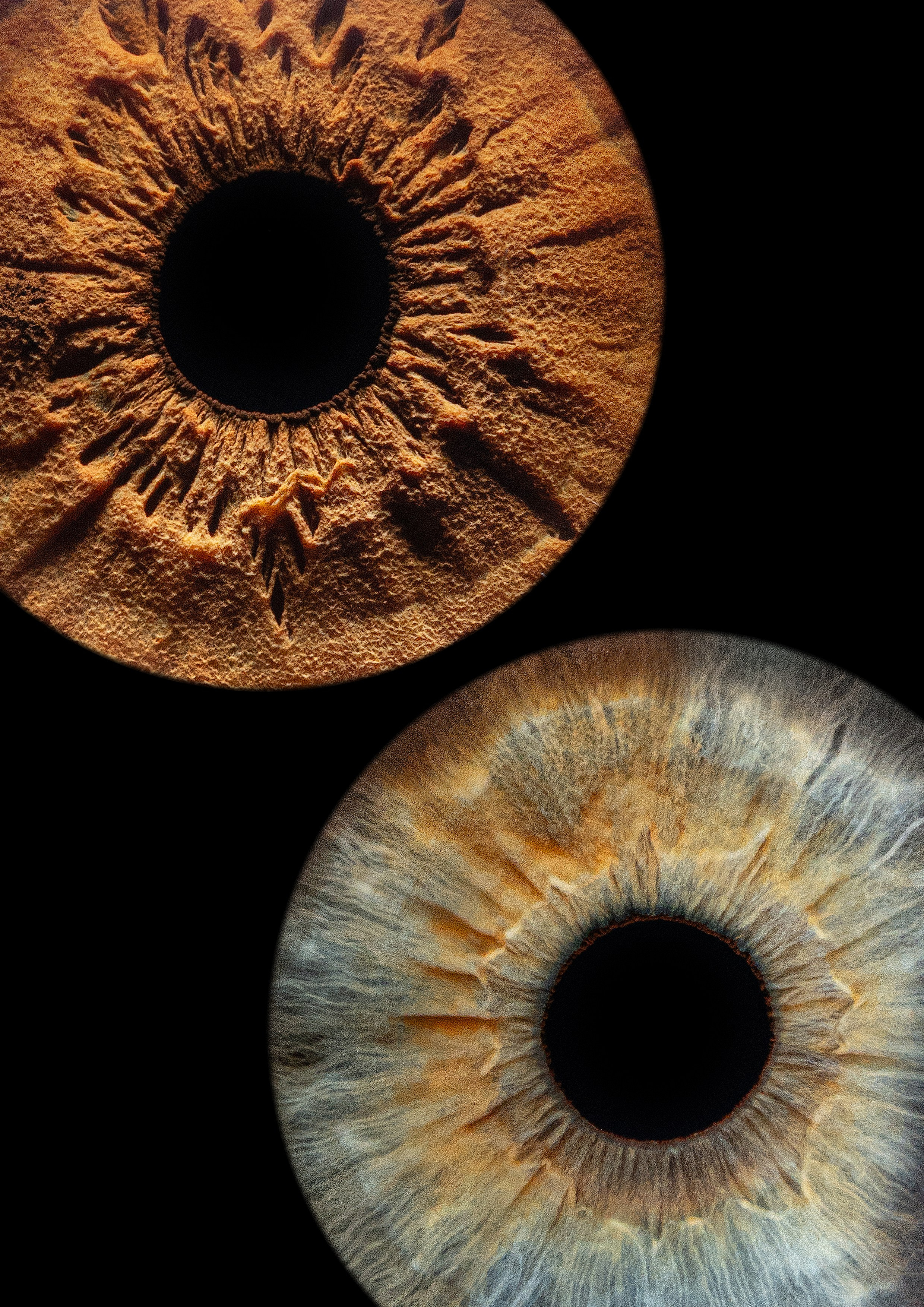 фотография радужки глаза Хабаровск фото радужки глаза Хабаровск