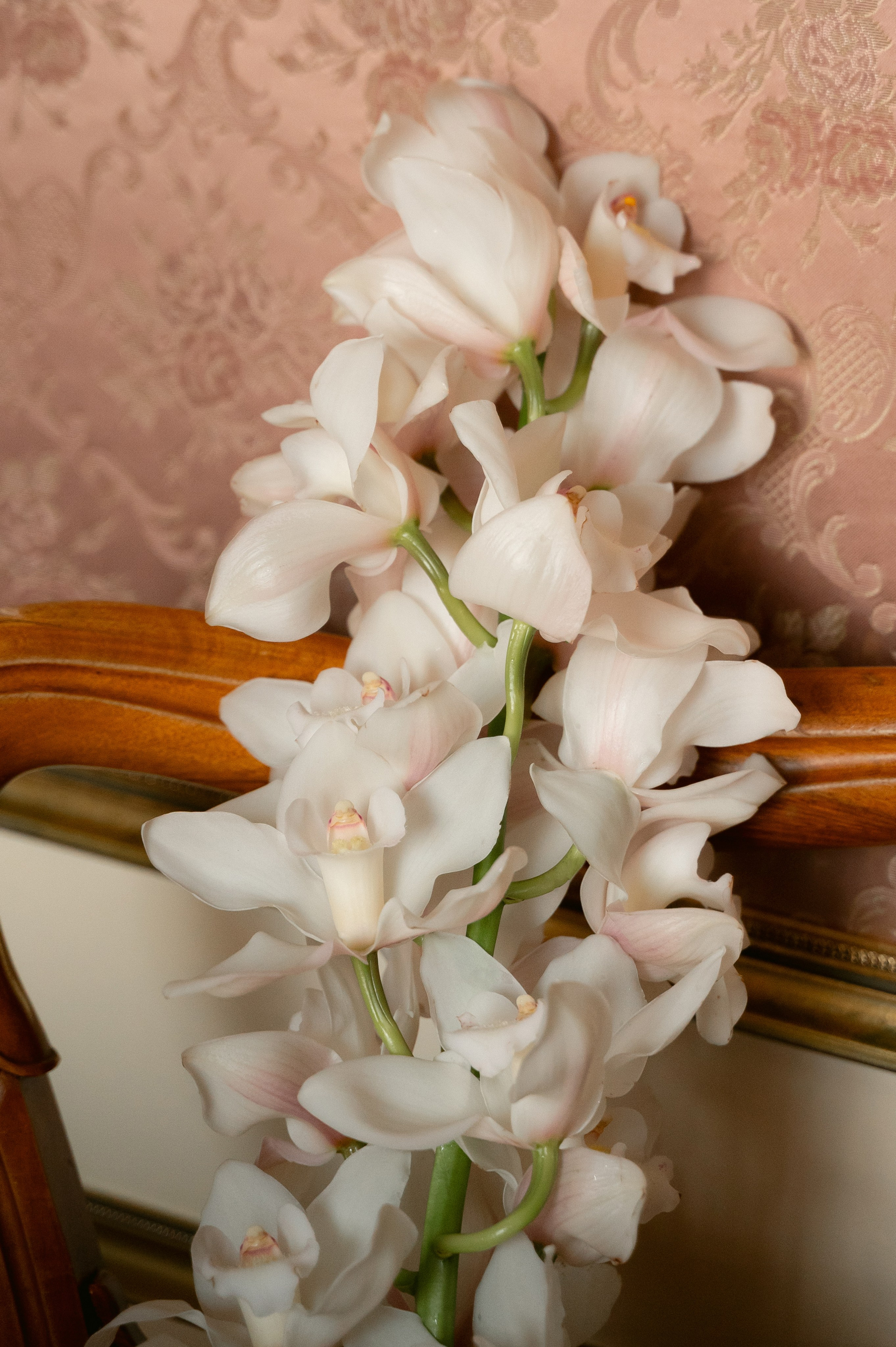 Николай и Екатерина, 2026. Свадебный и портретный фотограф в Липецке Анастасия Ролдугина