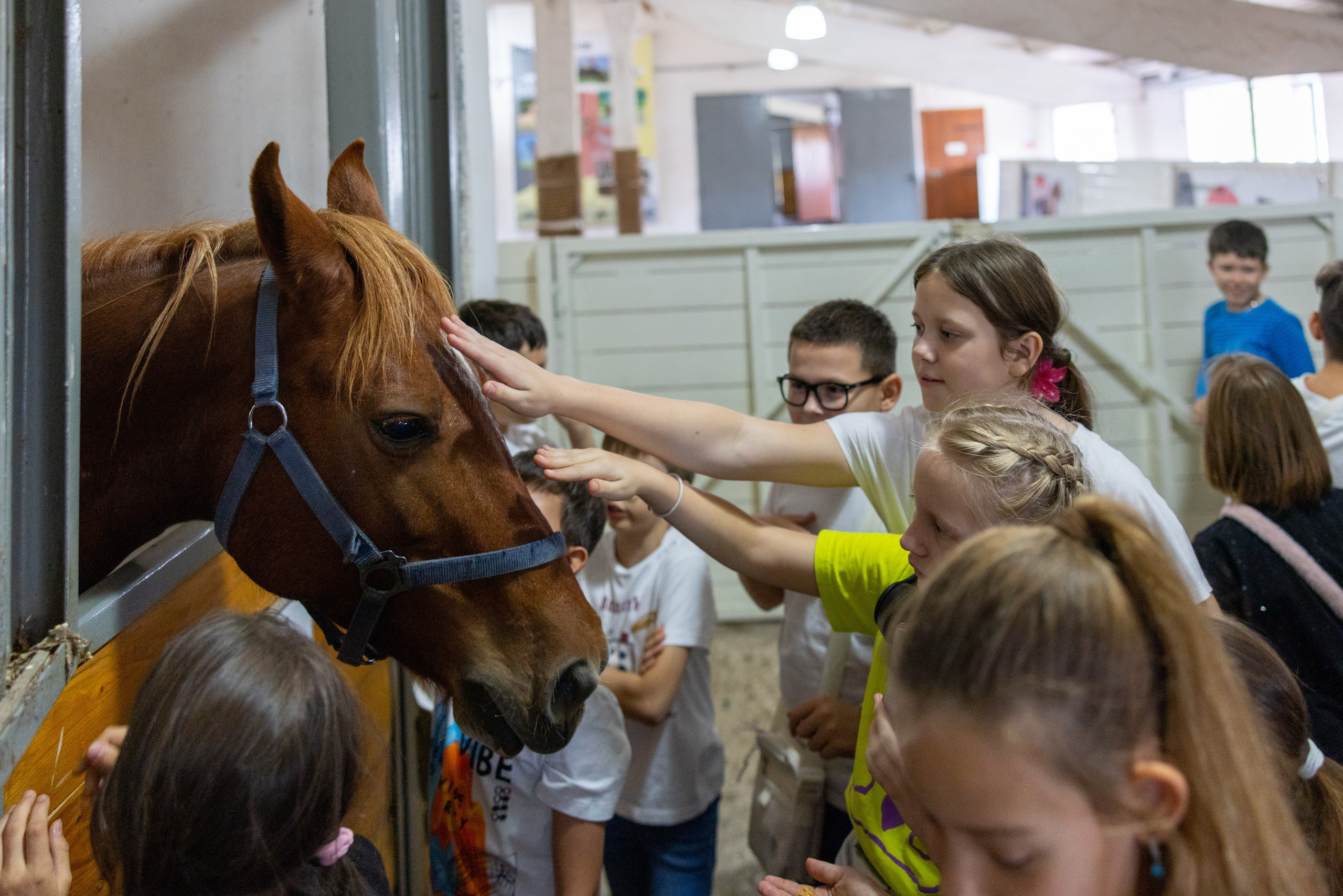 Поездка на поле Кулеково. Фотограф в Туле Крупский АнДРей. Фотостудия «КАДР71» в Туле