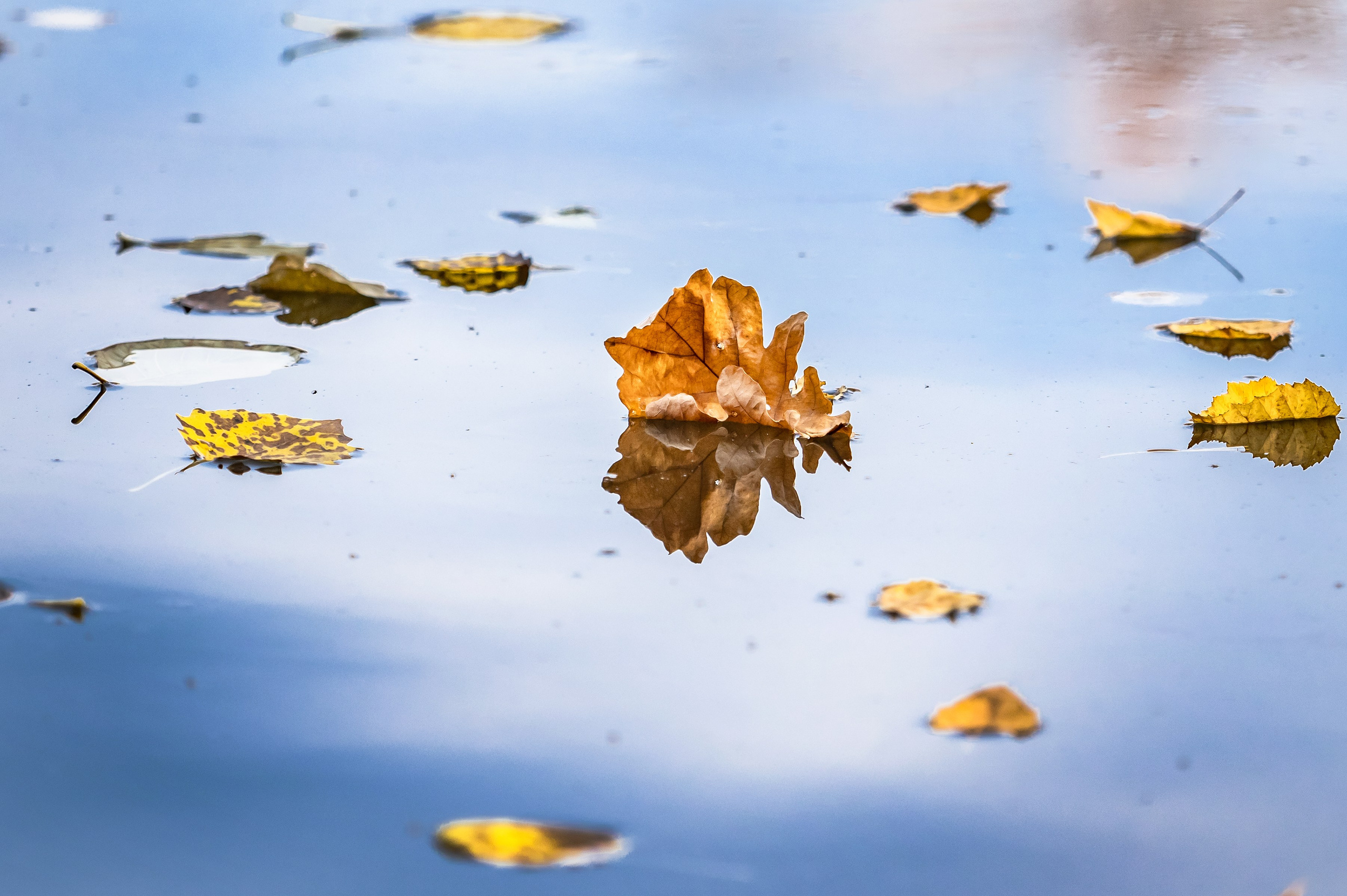 Красота Заречного. Репортажный, семейный и детский фотограф в Пензе и Заречном Арина Ермилова. Картины барельеф на заказ