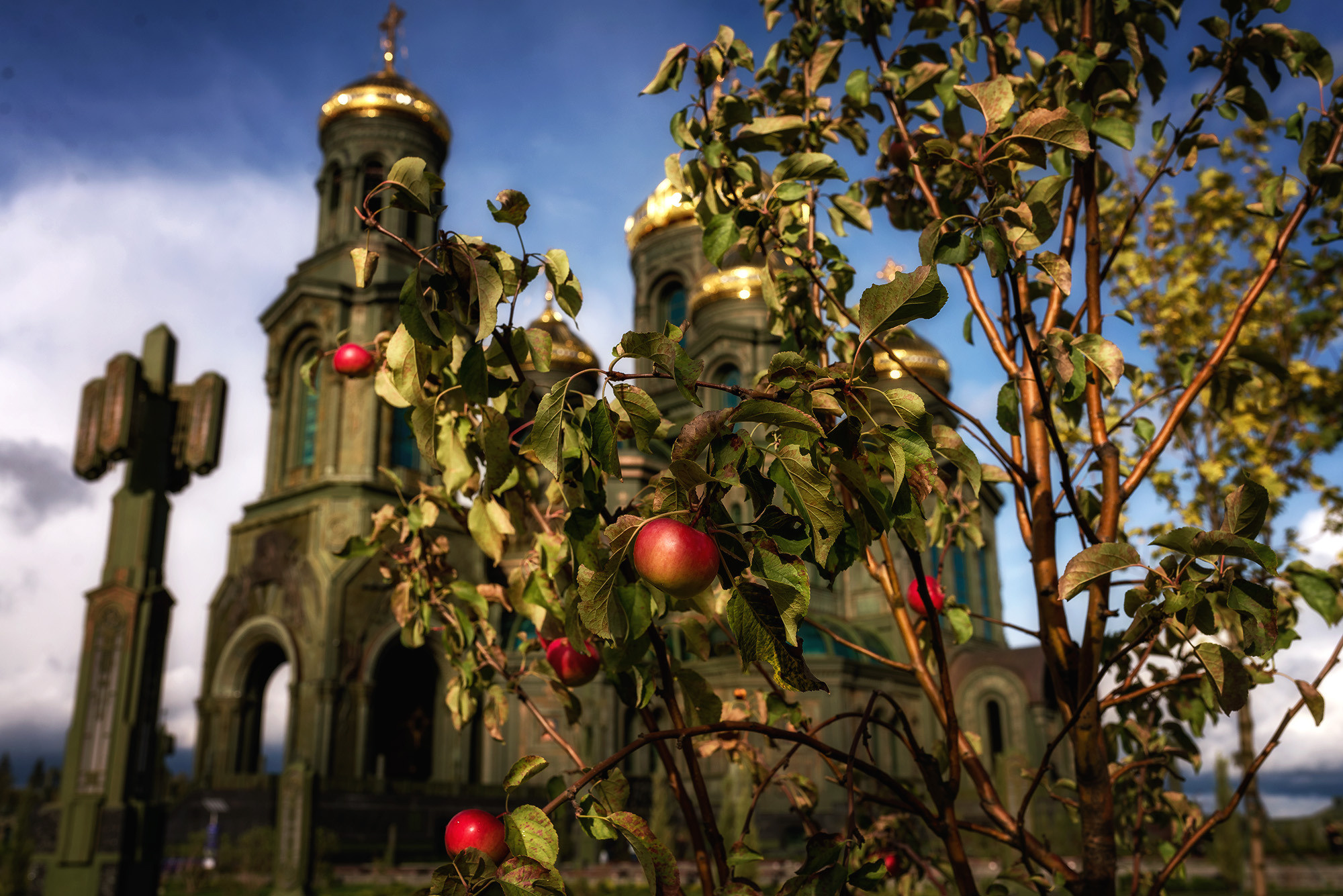 Храмы России. Женский фотограф Крещение Венчание Москва Брянск
