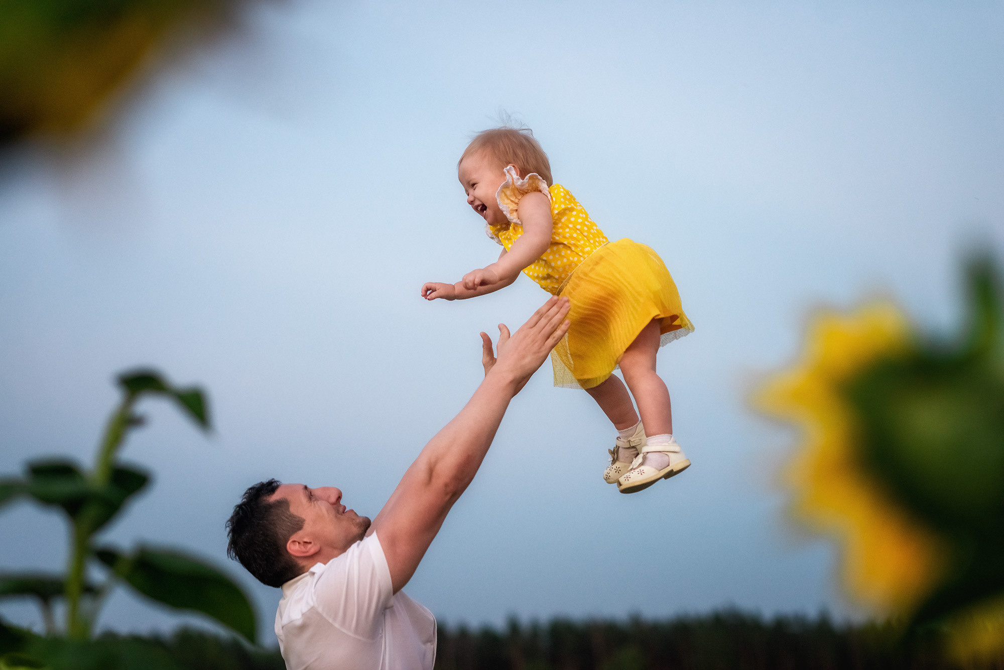 Подсолнухи. Женский фотограф Крещение Венчание Москва Брянск