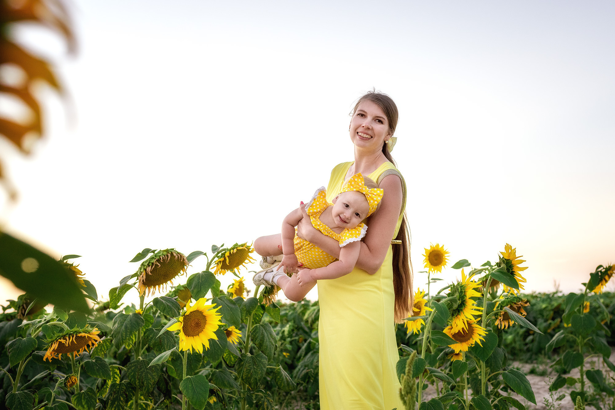 Подсолнухи. Женский фотограф Крещение Венчание Москва Брянск
