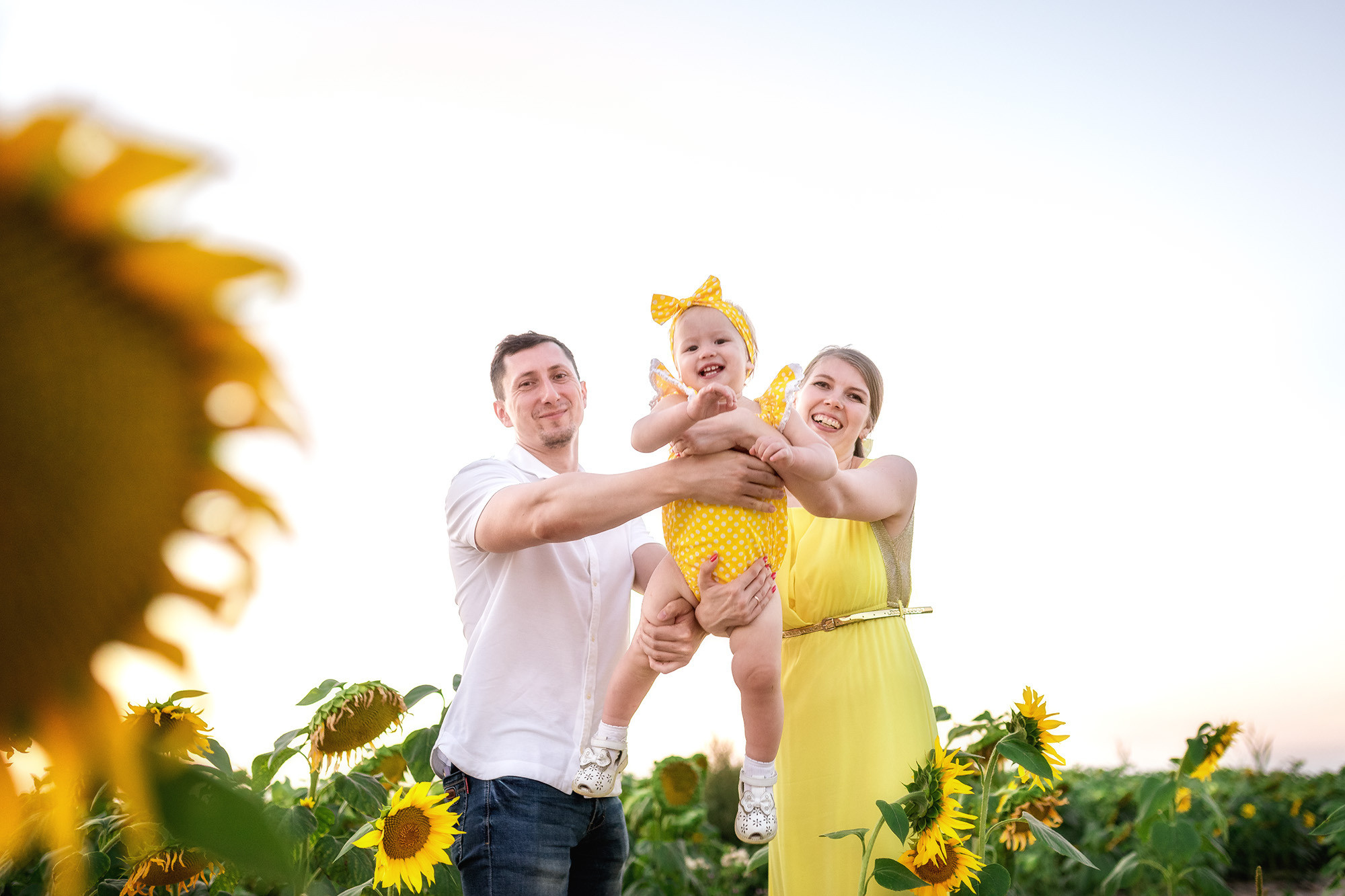 Подсолнухи. Женский фотограф Крещение Венчание Москва Брянск