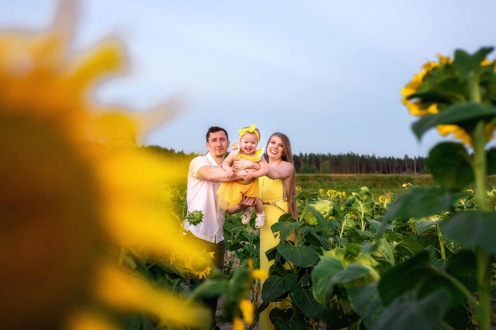 Подсолнухи. Женский фотограф Крещение Венчание Москва Брянск