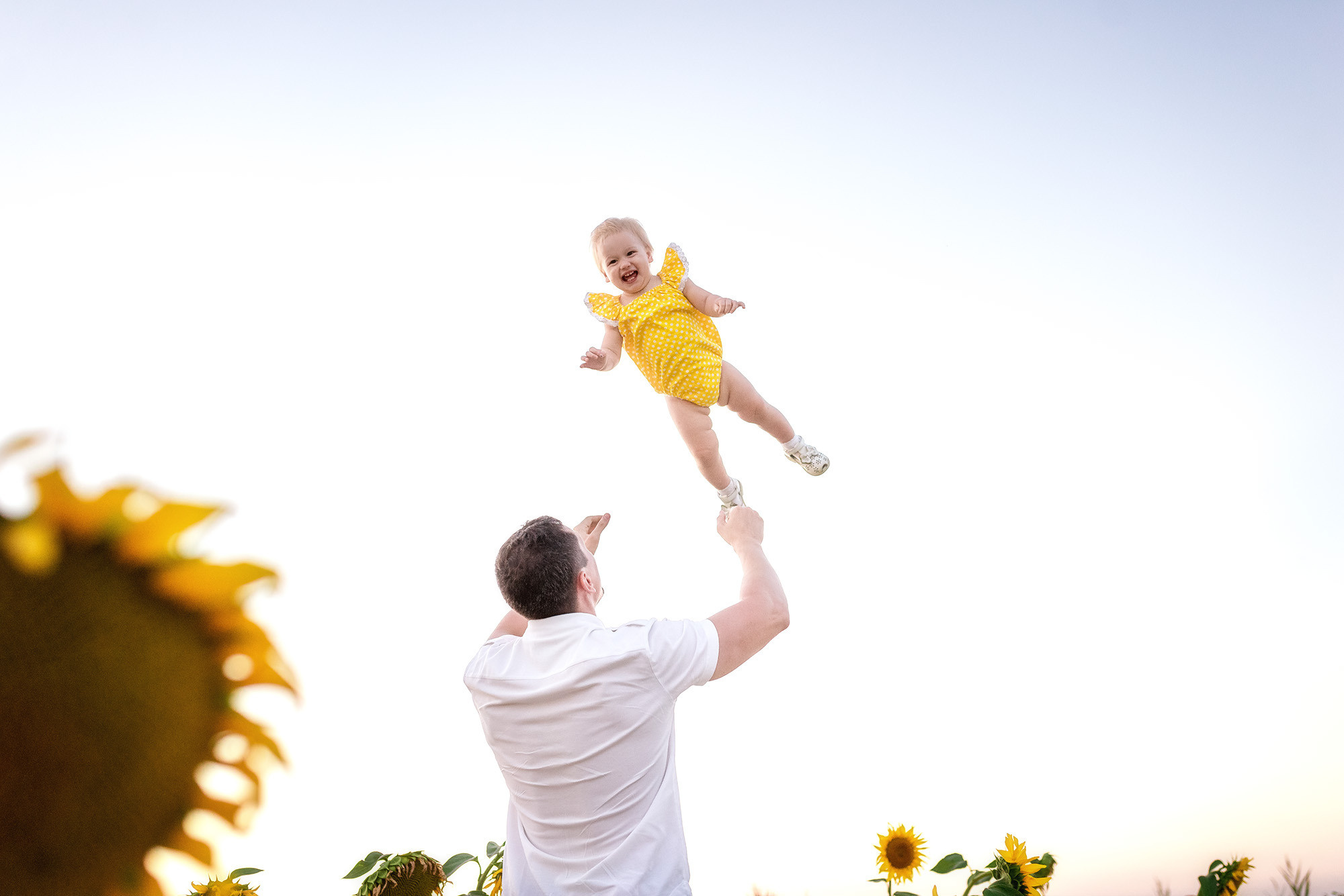 Подсолнухи. Женский фотограф Крещение Венчание Москва Брянск