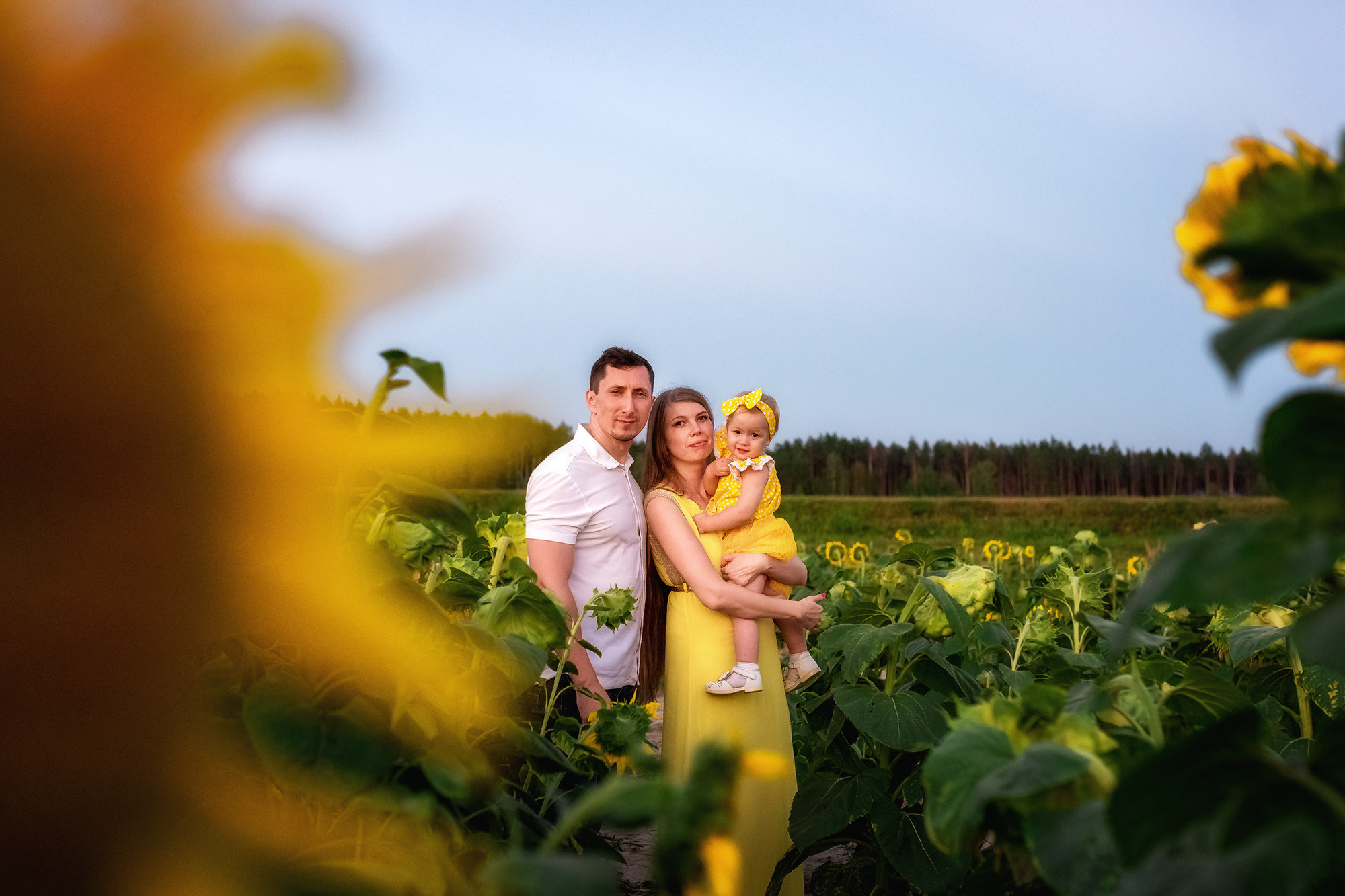 Подсолнухи. Женский фотограф Крещение Венчание Москва Брянск