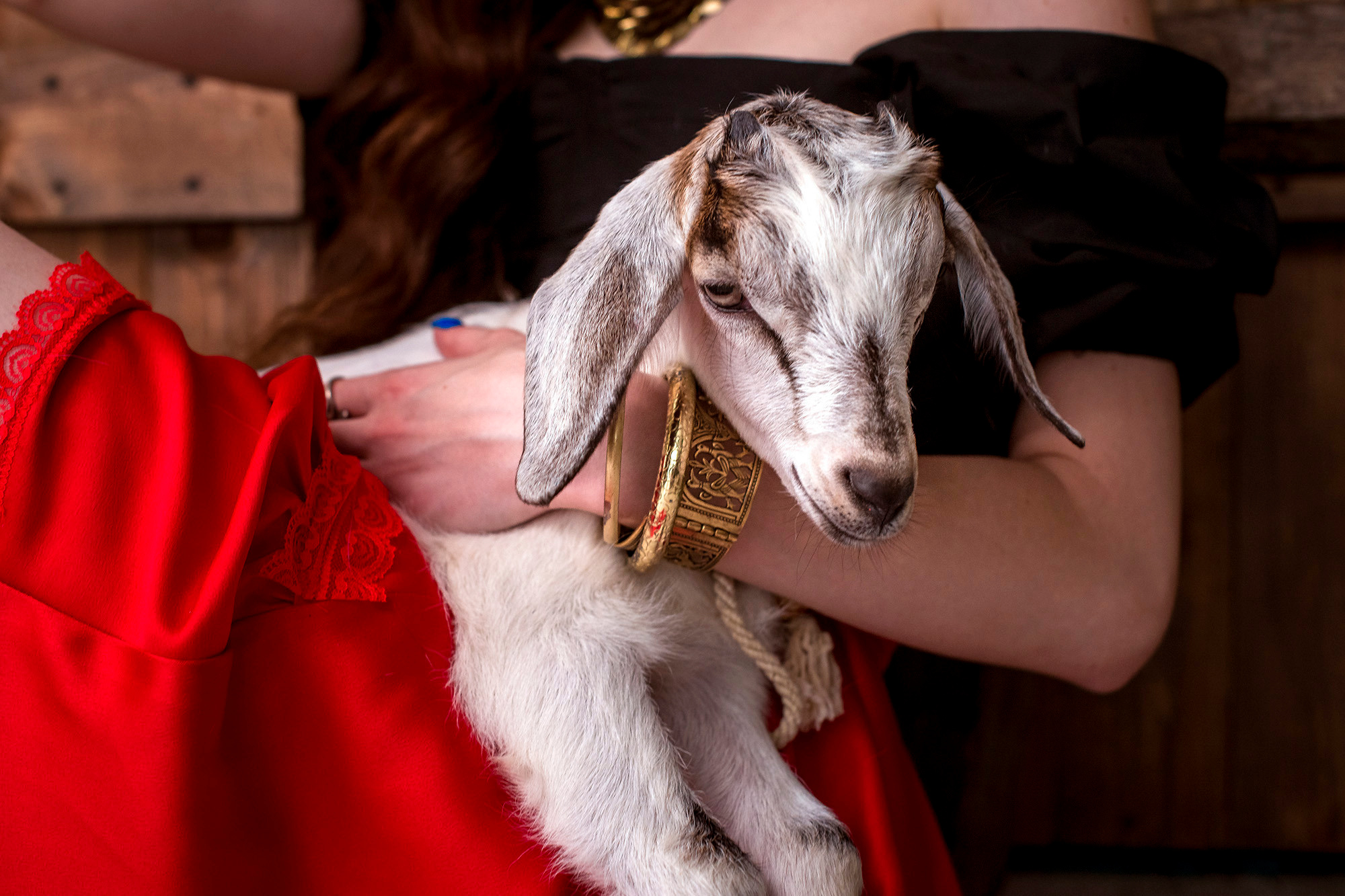 Геля и Козлёнок. Женский фотограф Крещение Венчание Москва Брянск