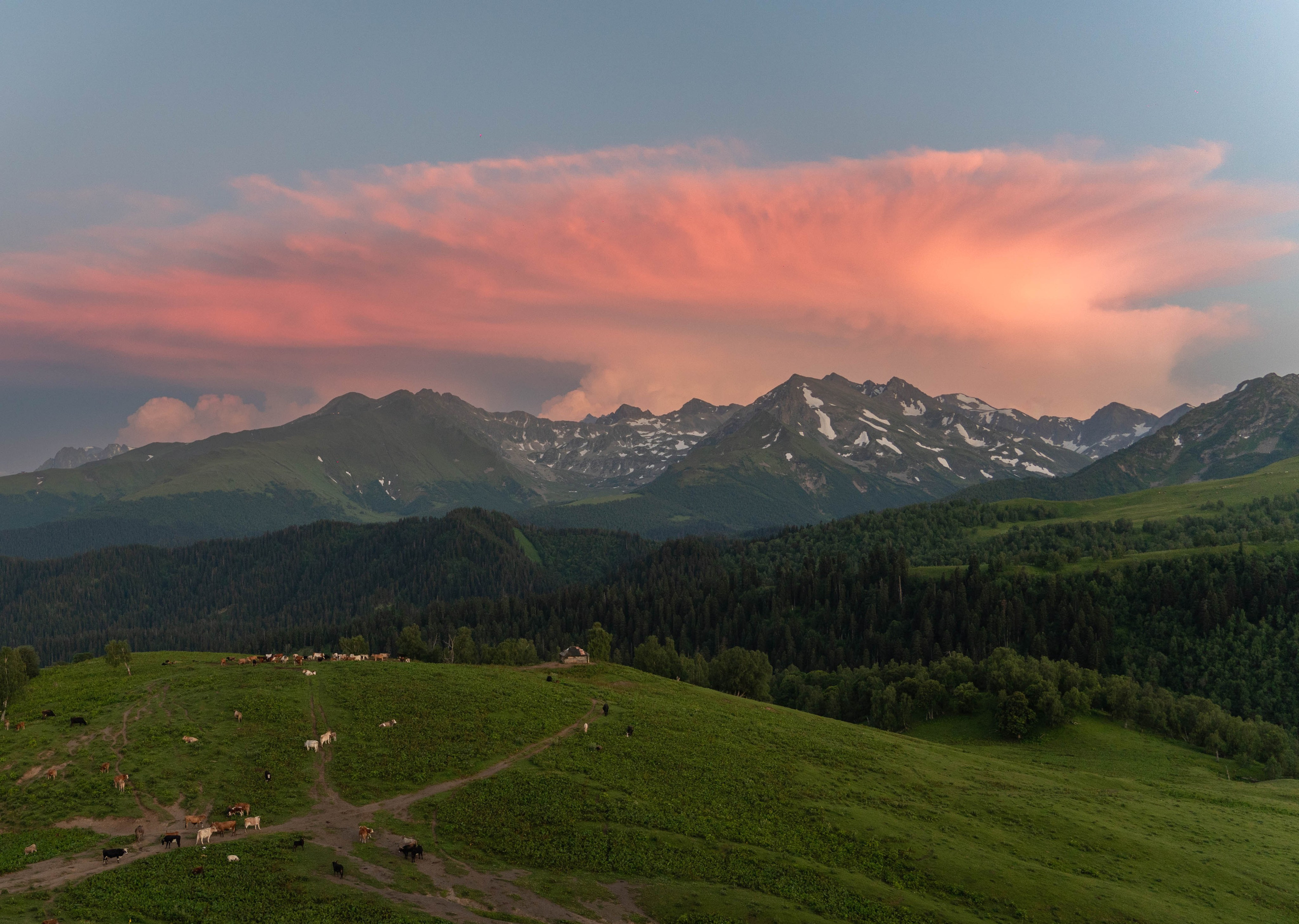 Пейзажная фотография. Daria wanderer photography