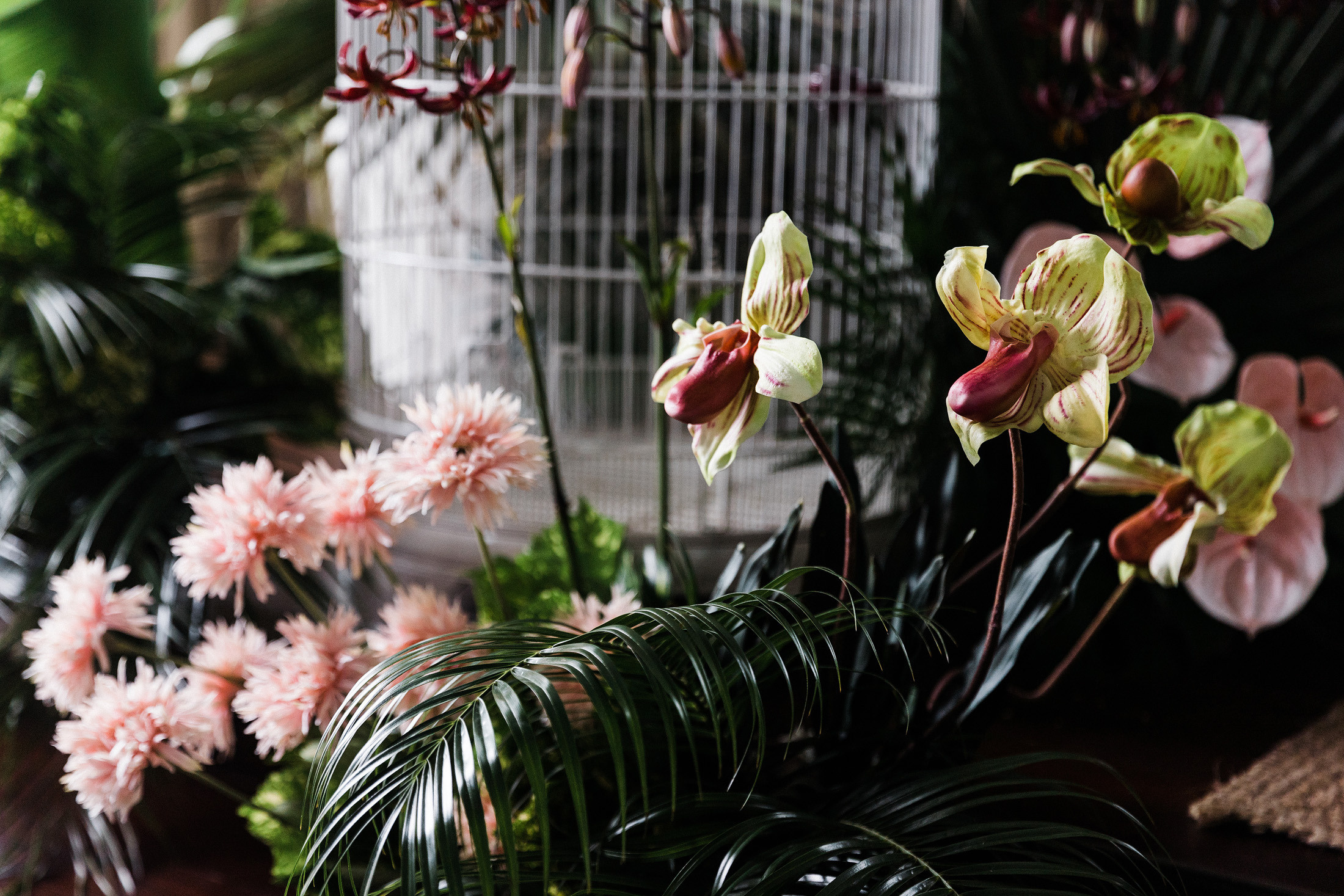 BOTANIKA. Свадебный и семейный фотограф в Краснодаре Роман Моско