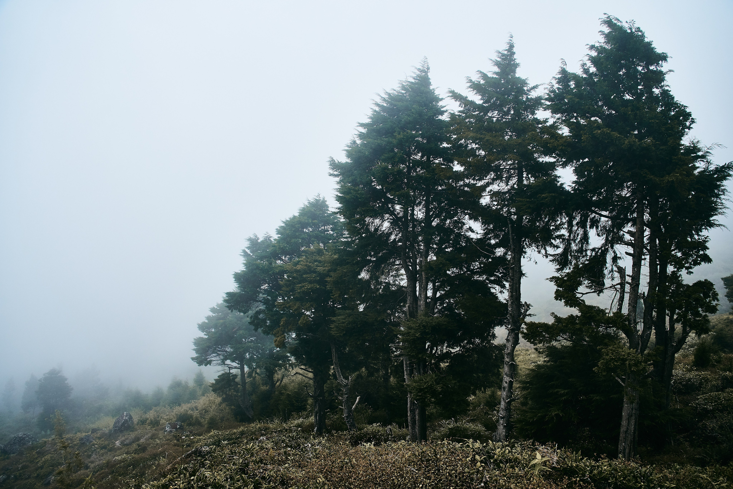 Moto Trip 23-05-19. Никита Хохловский фото и видео продакшн