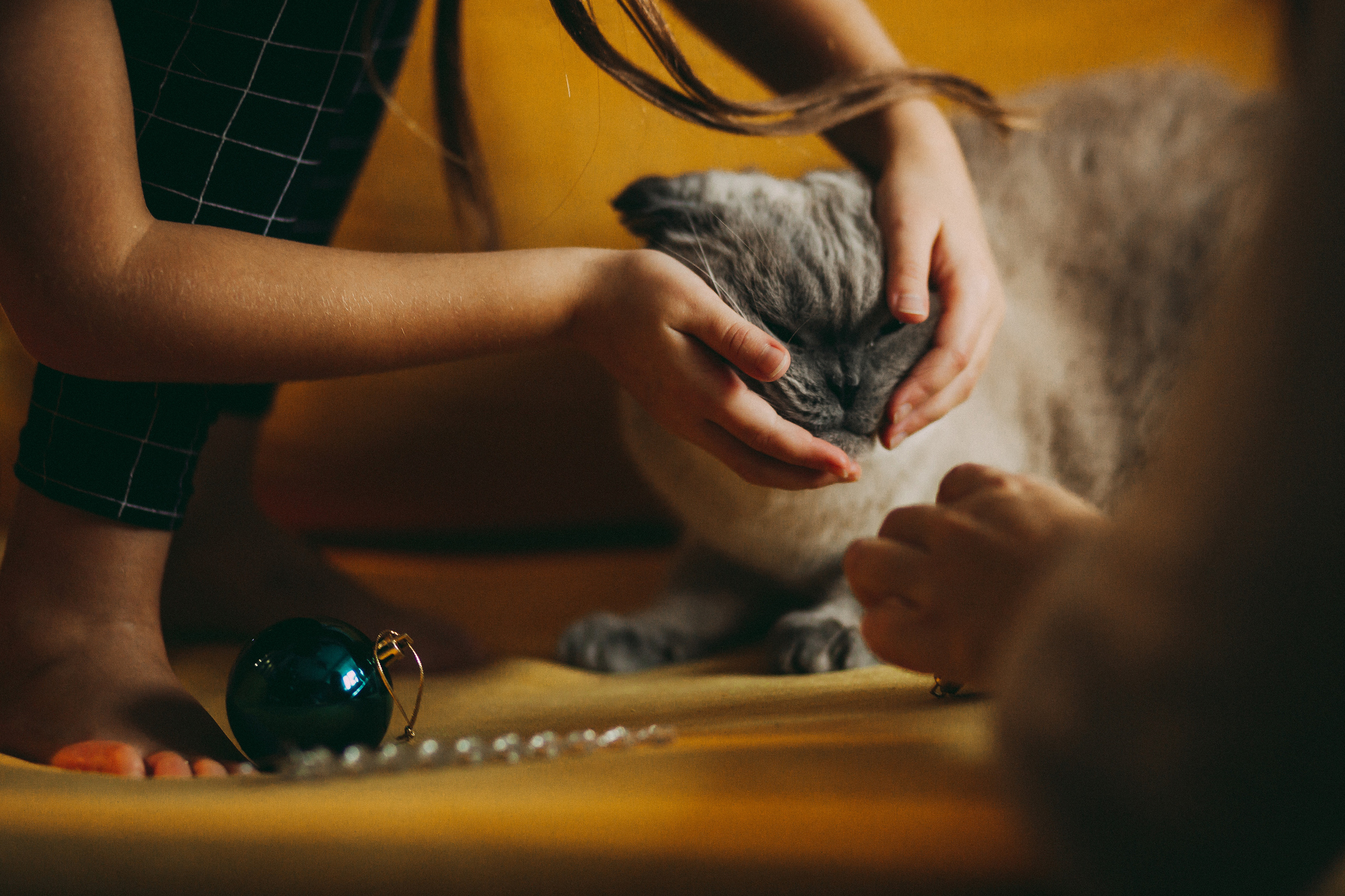 Мандариновое настроение. Фотограф в Санкт-Петербурге Вера Сивенкова