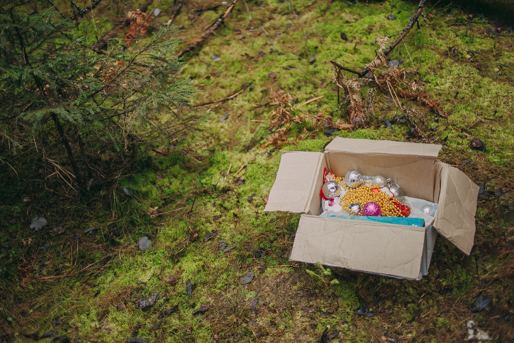 Рождественский альбом. Фотограф в Санкт-Петербурге Вера Сивенкова