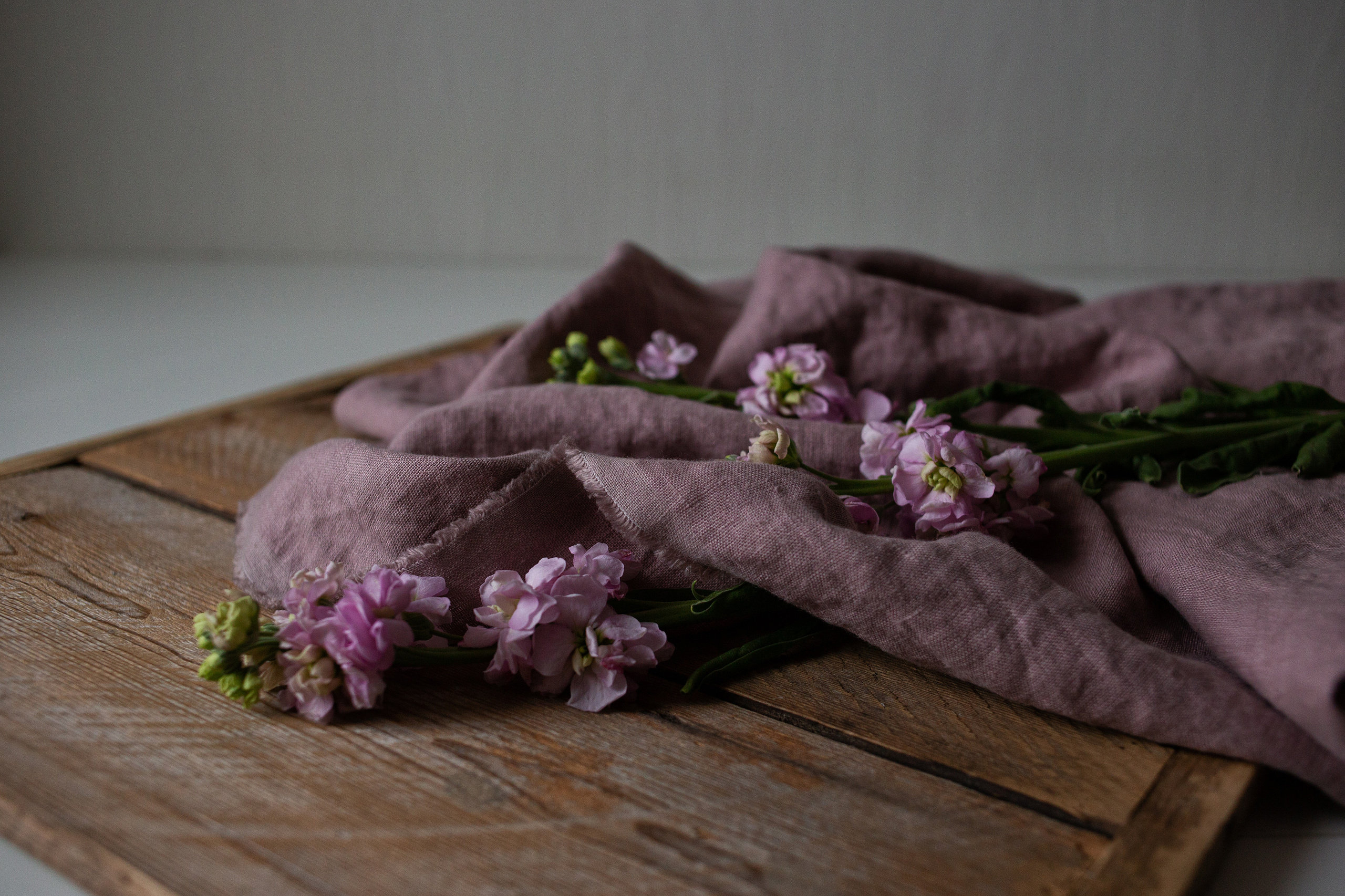 Отзывы. Фотограф в Санкт-Петербурге Вера Сивенкова